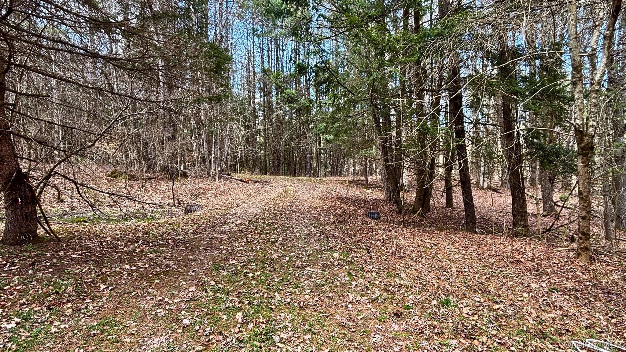 Lot 6.15 Little Beaver Creek Lane, Out Of Area, NY, ,Land,For Rent,Little Beaver Creek,0,987668 Lot 6.15 Little Beaver Creek Lane, Out Of Area, NY, ,Land,For Rent,Little Beaver Creek,0,987668