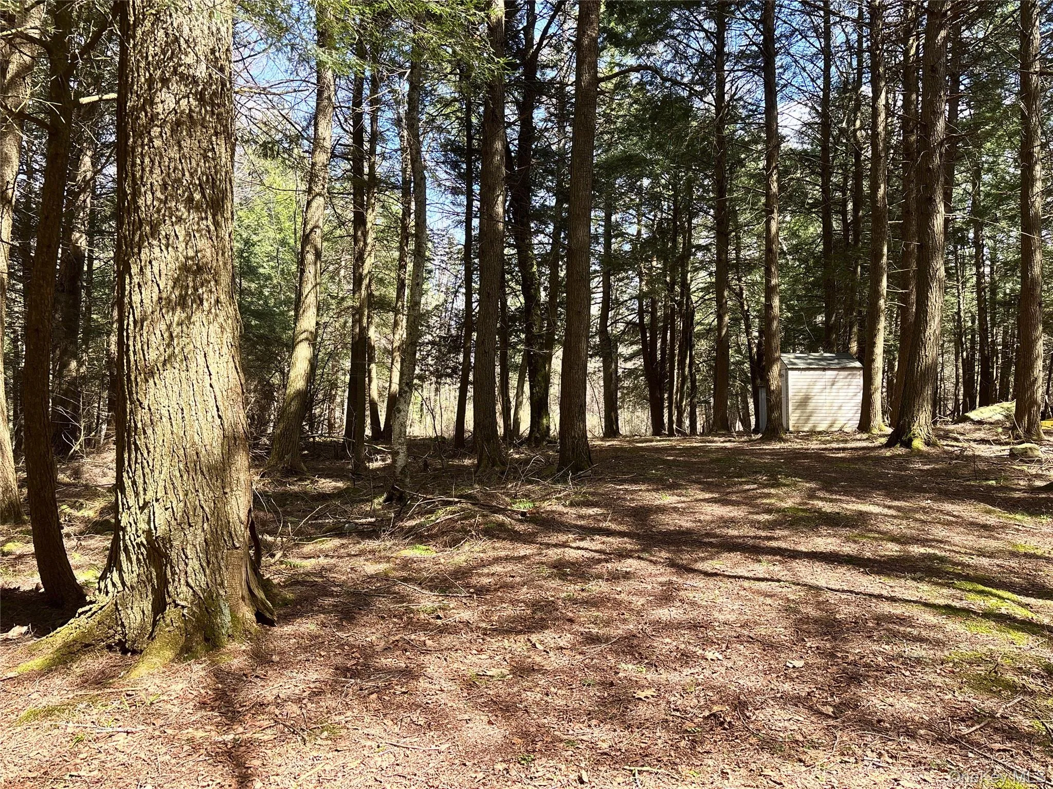 Lot 6.15 Little Beaver Creek Lane, Out Of Area, NY, ,Land,For Rent,Little Beaver Creek,0,987668 Lot 6.15 Little Beaver Creek Lane, Out Of Area, NY, ,Land,For Rent,Little Beaver Creek,0,987668