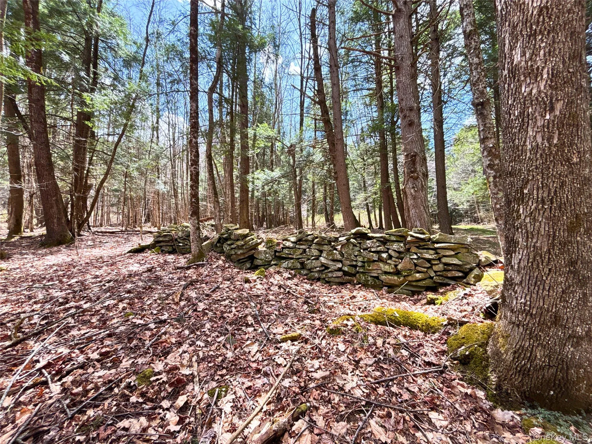 Lot 6.15 Little Beaver Creek Lane, Out Of Area, NY, ,Land,For Rent,Little Beaver Creek,0,987668 Lot 6.15 Little Beaver Creek Lane, Out Of Area, NY, ,Land,For Rent,Little Beaver Creek,0,987668