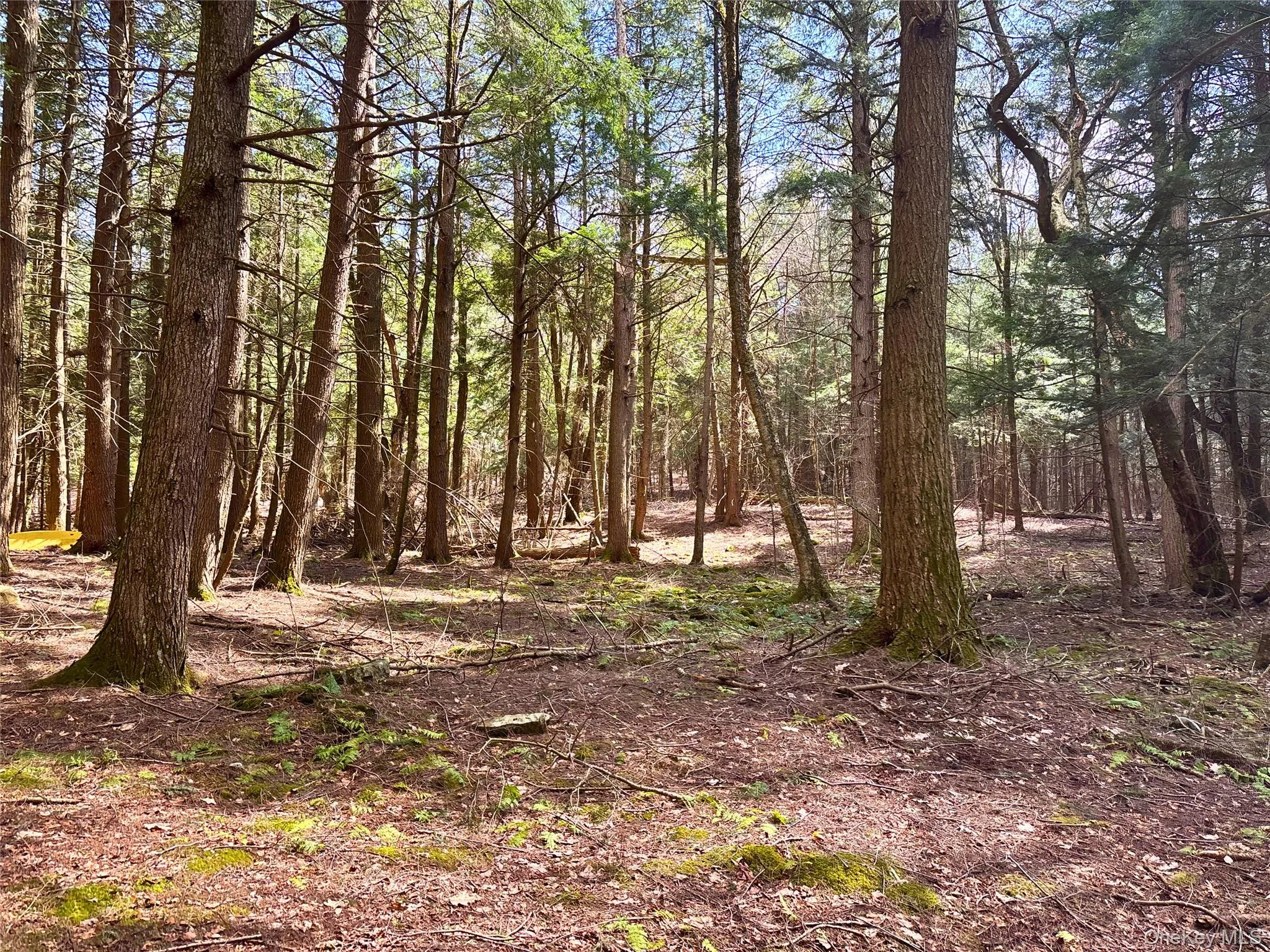 Lot 6.15 Little Beaver Creek Lane, Out Of Area, NY, ,Land,For Rent,Little Beaver Creek,0,987668 Lot 6.15 Little Beaver Creek Lane, Out Of Area, NY, ,Land,For Rent,Little Beaver Creek,0,987668