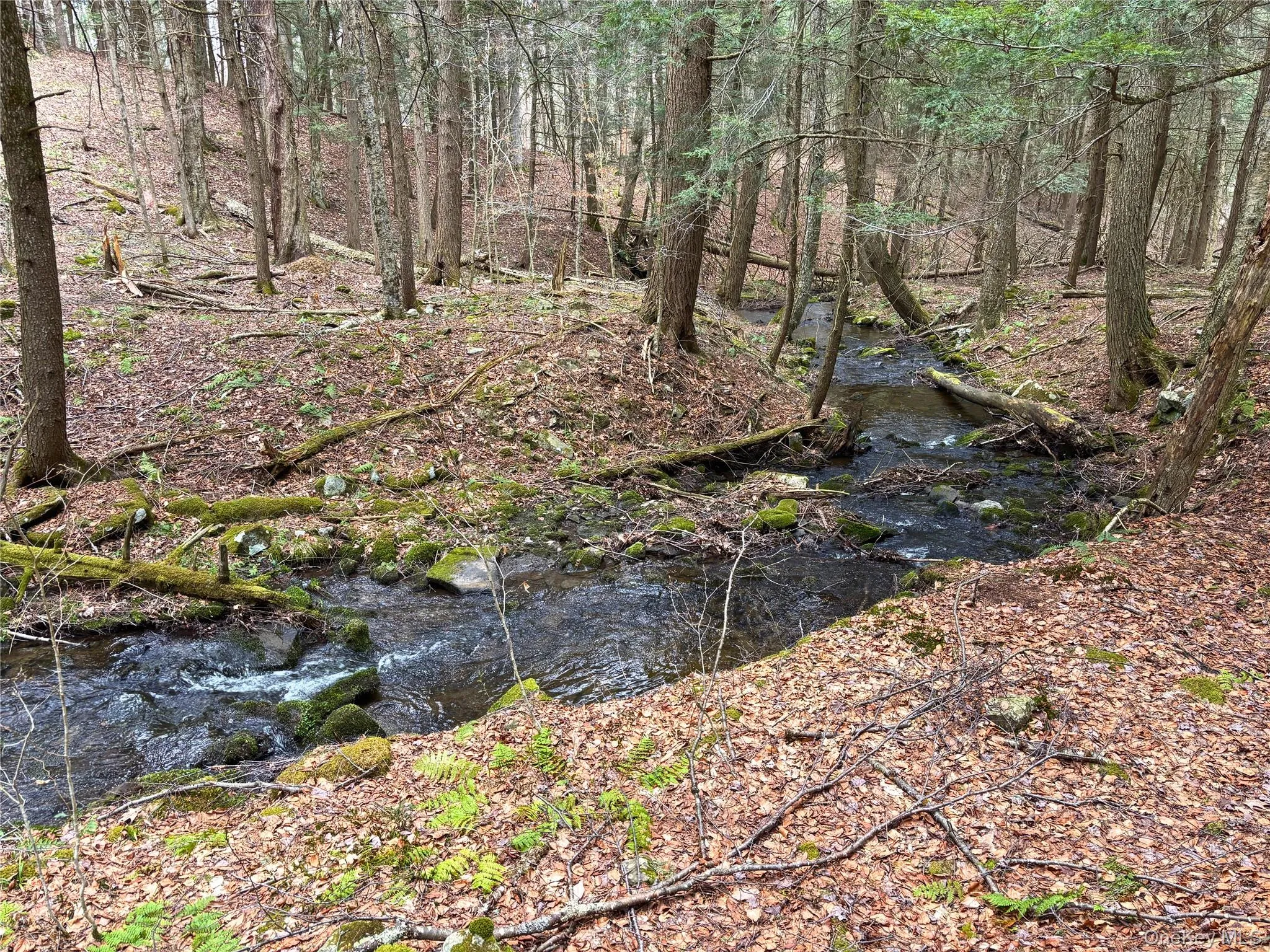 Lot 6.15 Little Beaver Creek Lane, Out Of Area, NY, ,Land,For Rent,Little Beaver Creek,0,987668 Lot 6.15 Little Beaver Creek Lane, Out Of Area, NY, ,Land,For Rent,Little Beaver Creek,0,987668
