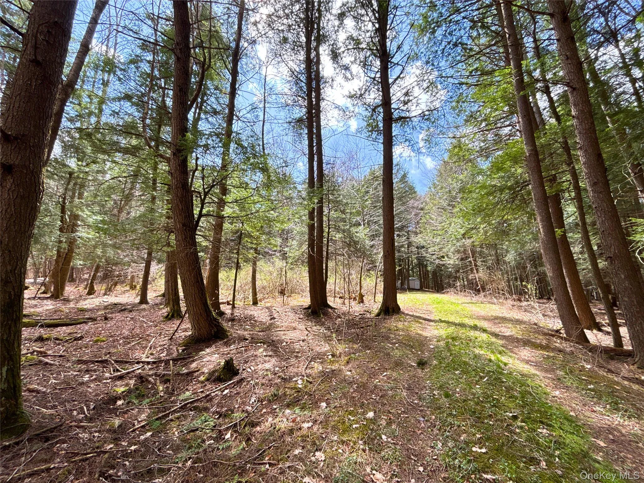 Lot 6.15 Little Beaver Creek Lane, Out Of Area, NY, ,Land,For Rent,Little Beaver Creek,0,987668 Lot 6.15 Little Beaver Creek Lane, Out Of Area, NY, ,Land,For Rent,Little Beaver Creek,0,987668