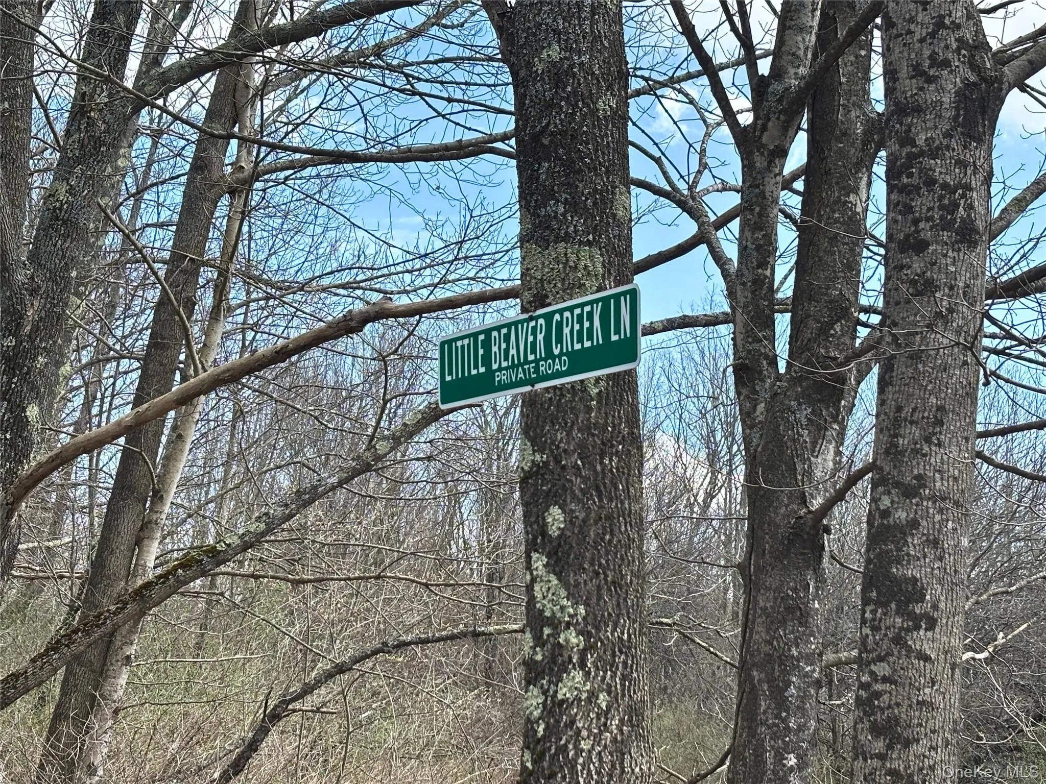 Lot 6.15 Little Beaver Creek Lane, Out Of Area, NY, ,Land,For Rent,Little Beaver Creek,0,987668 Lot 6.15 Little Beaver Creek Lane, Out Of Area, NY, ,Land,For Rent,Little Beaver Creek,0,987668