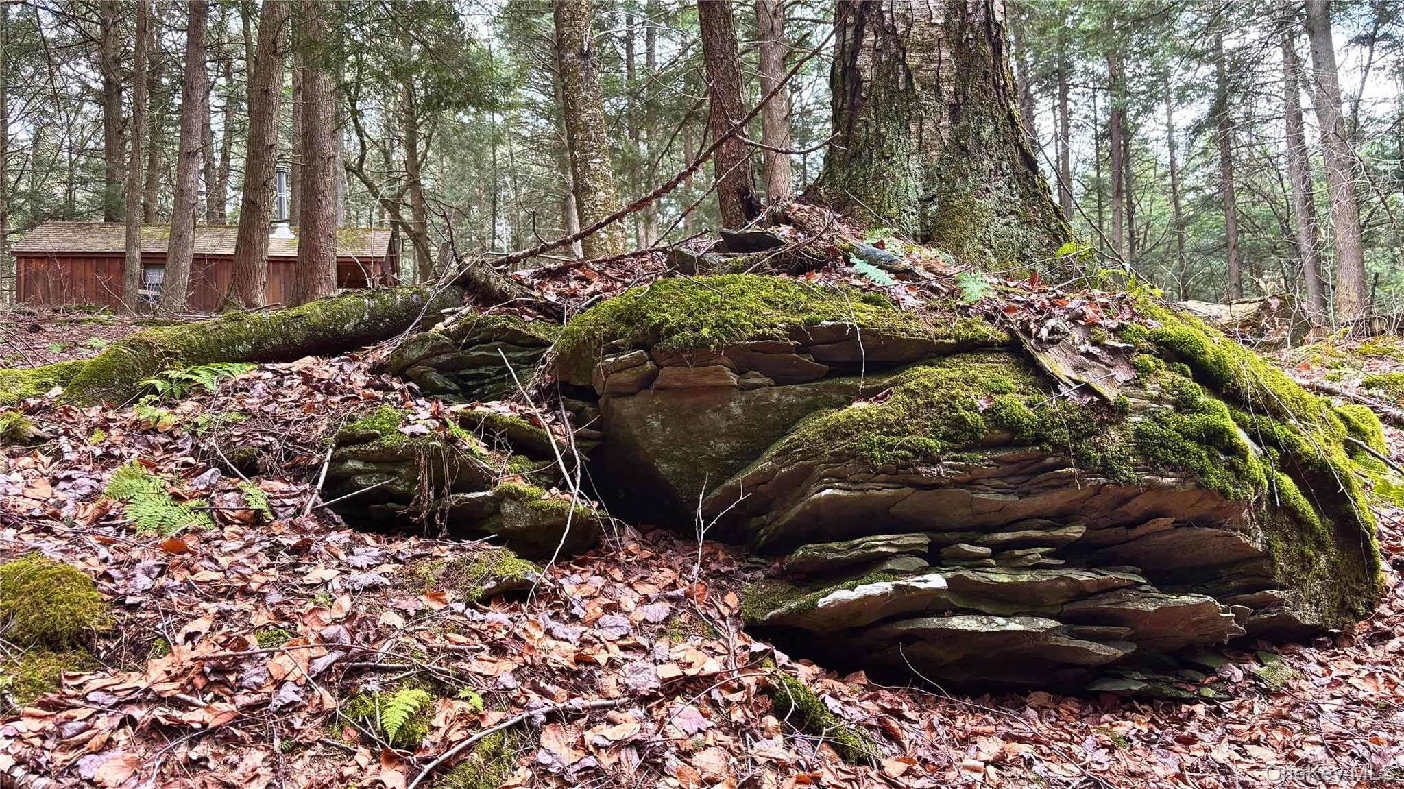 Lot 6.15 Little Beaver Creek Lane, Out Of Area, NY, ,Land,For Rent,Little Beaver Creek,0,987668 Lot 6.15 Little Beaver Creek Lane, Out Of Area, NY, ,Land,For Rent,Little Beaver Creek,0,987668