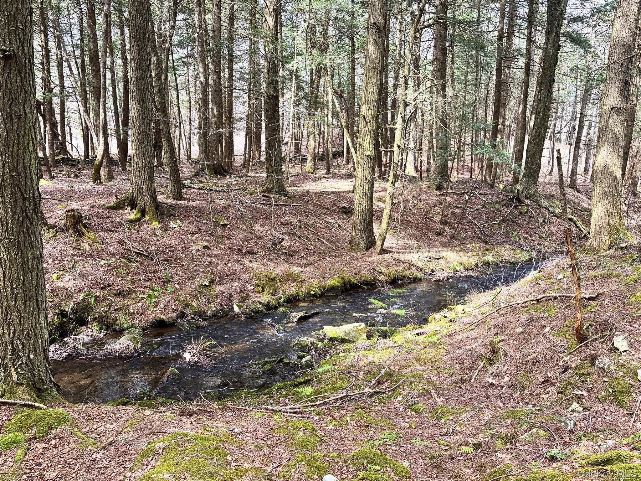 Lot 6.15 Little Beaver Creek Lane, Out Of Area, NY, ,Land,For Rent,Little Beaver Creek,0,987668 Lot 6.15 Little Beaver Creek Lane, Out Of Area, NY, ,Land,For Rent,Little Beaver Creek,0,987668