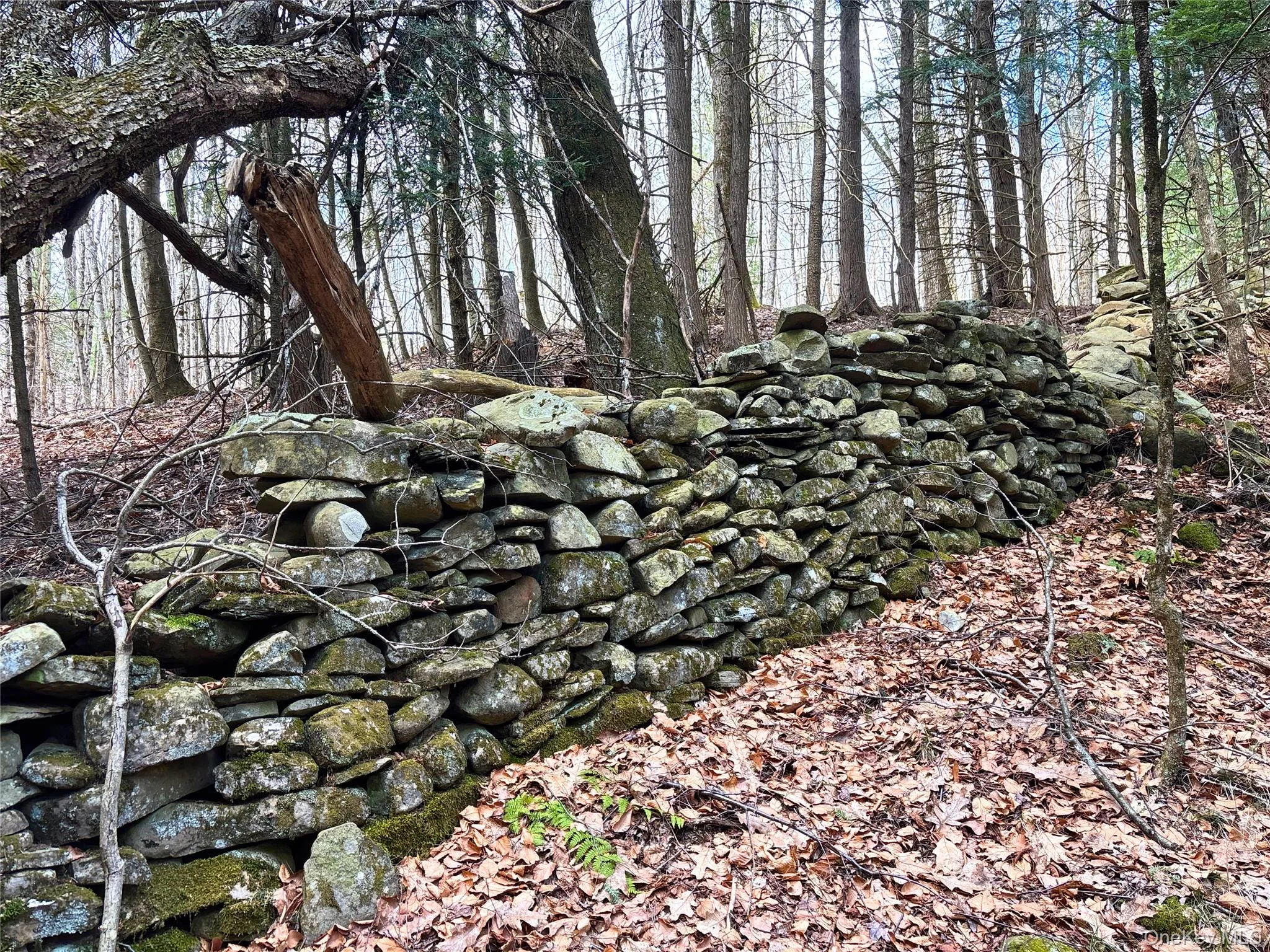 Lot 6.15 Little Beaver Creek Lane, Out Of Area, NY, ,Land,For Rent,Little Beaver Creek,0,987668 Lot 6.15 Little Beaver Creek Lane, Out Of Area, NY, ,Land,For Rent,Little Beaver Creek,0,987668