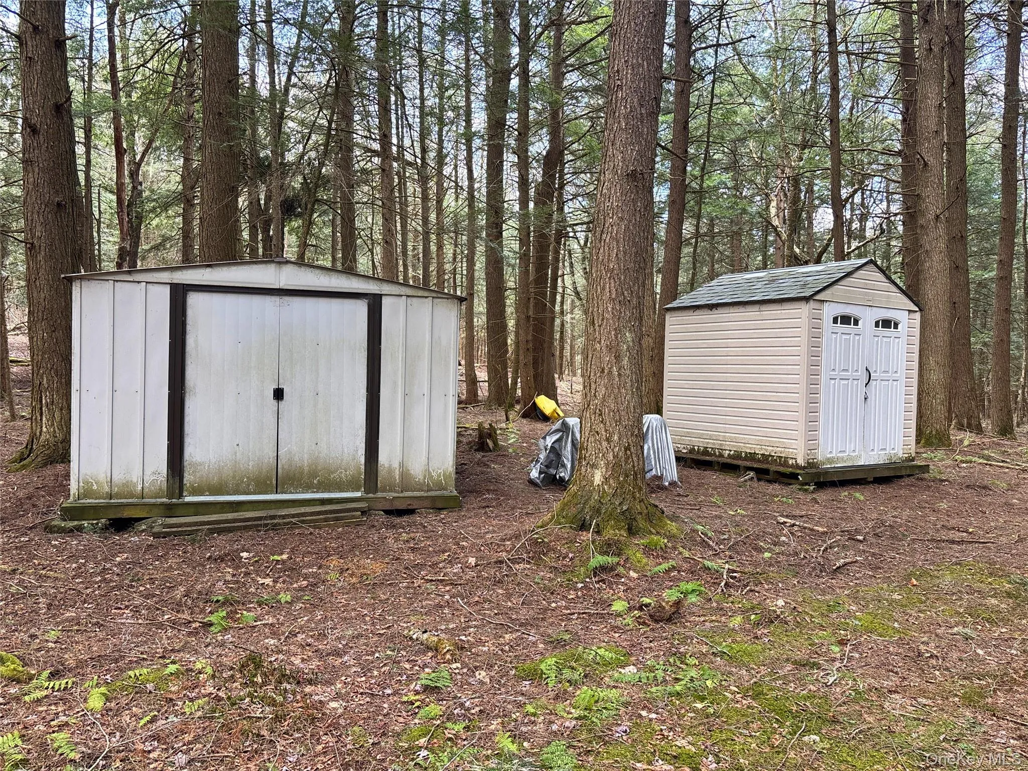 Lot 6.15 Little Beaver Creek Lane, Out Of Area, NY, ,Land,For Rent,Little Beaver Creek,0,987668 Lot 6.15 Little Beaver Creek Lane, Out Of Area, NY, ,Land,For Rent,Little Beaver Creek,0,987668
