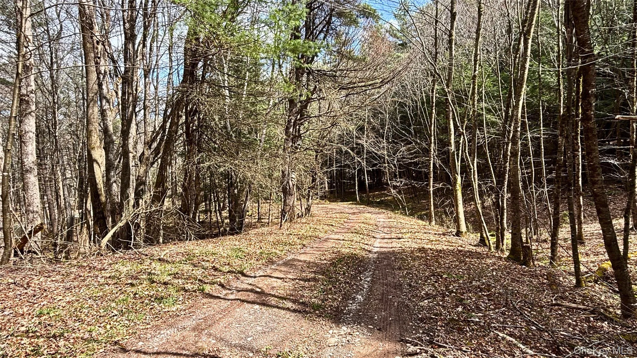 Lot 6.15 Little Beaver Creek Lane, Out Of Area, NY, ,Land,For Rent,Little Beaver Creek,0,987668 Lot 6.15 Little Beaver Creek Lane, Out Of Area, NY, ,Land,For Rent,Little Beaver Creek,0,987668