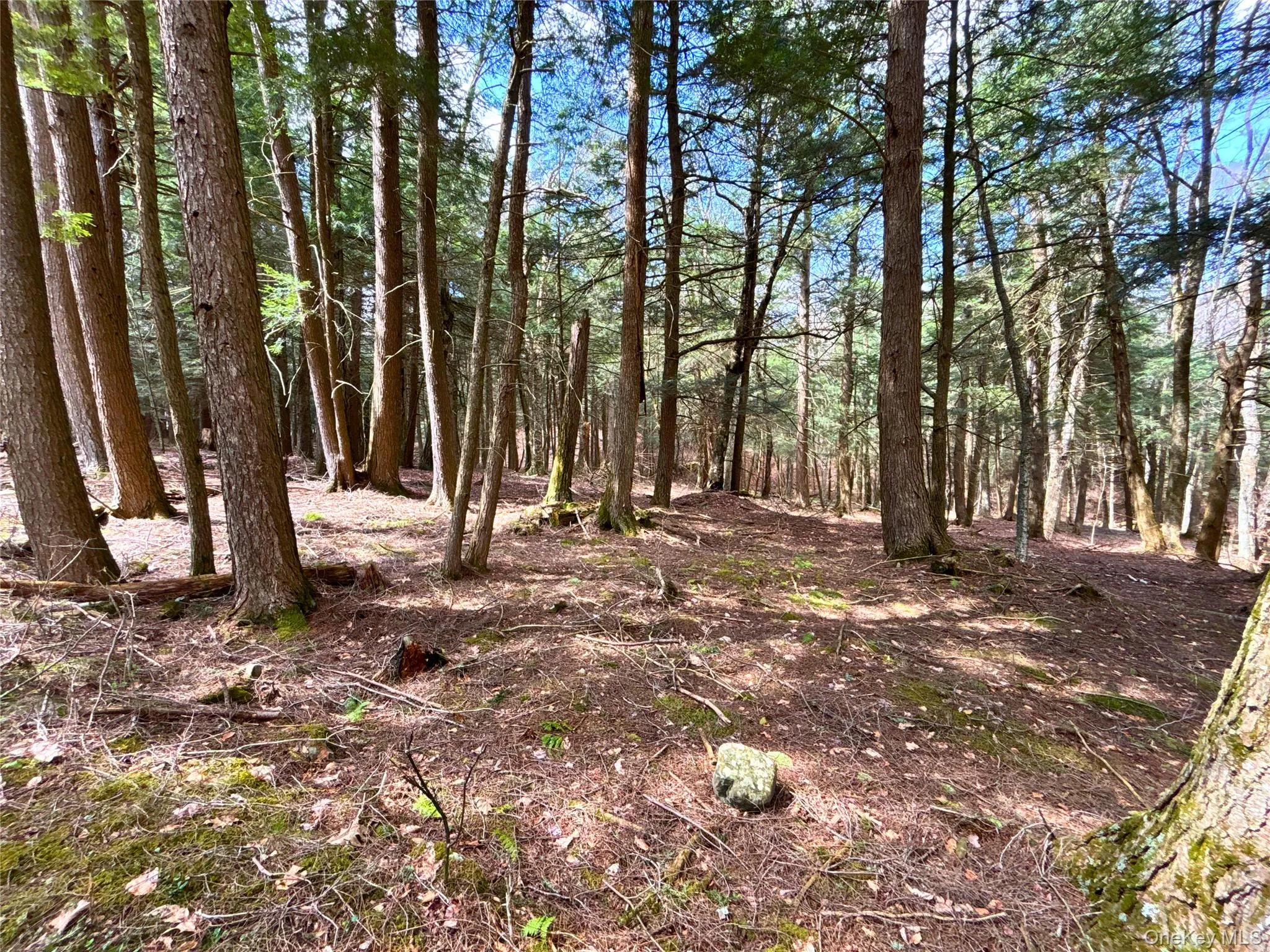 Lot 6.15 Little Beaver Creek Lane, Out Of Area, NY, ,Land,For Rent,Little Beaver Creek,0,987668 Lot 6.15 Little Beaver Creek Lane, Out Of Area, NY, ,Land,For Rent,Little Beaver Creek,0,987668