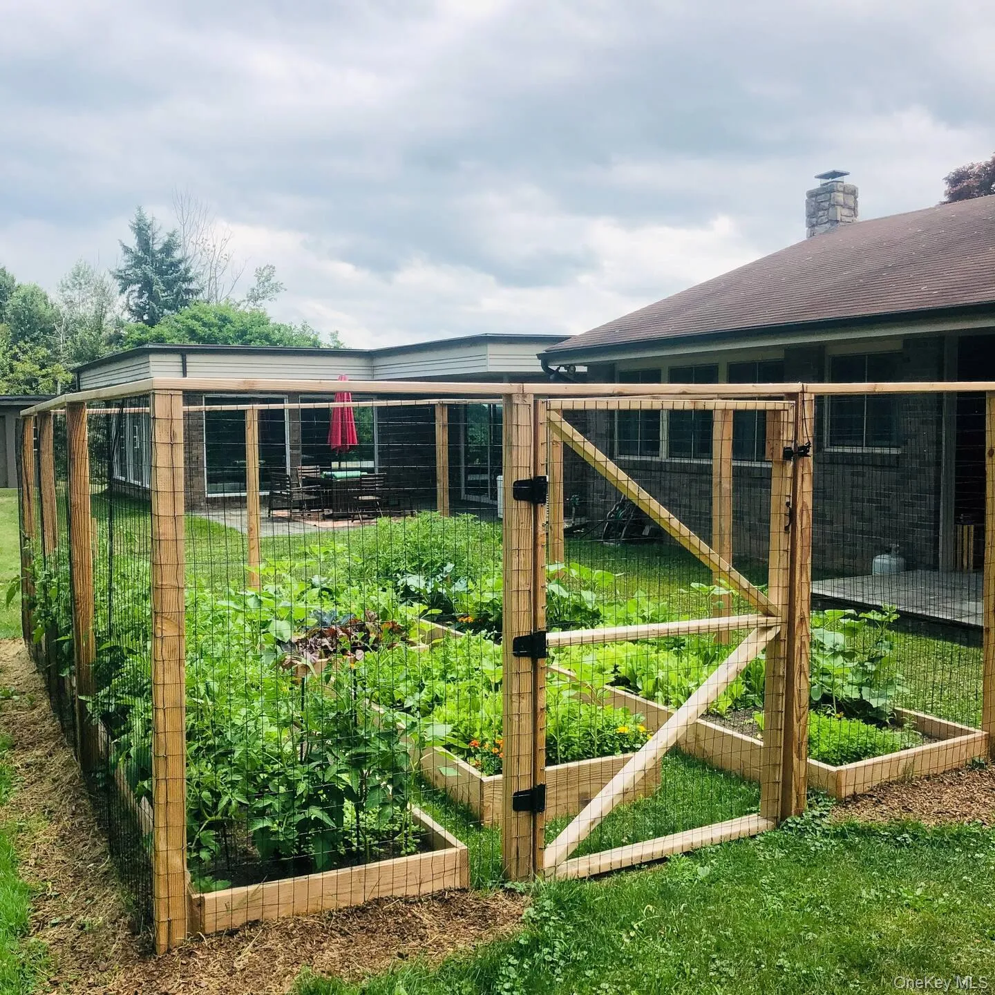 Fenced vegetable garden Fenced vegetable garden