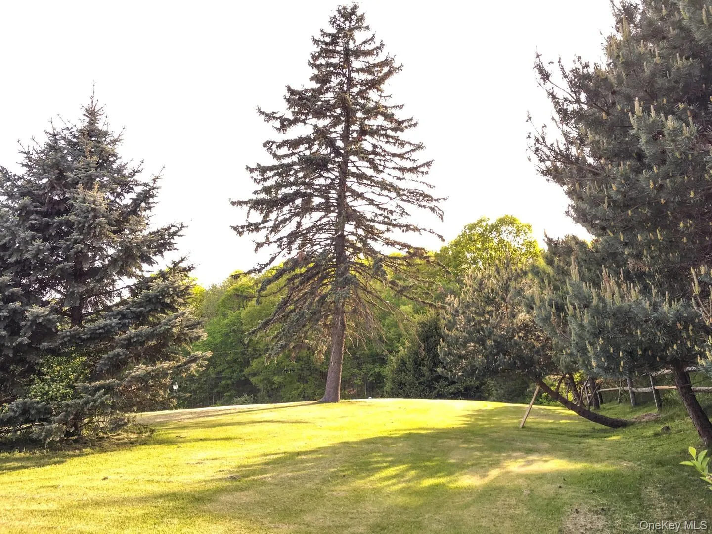 Park-like yard settings Park-like yard settings