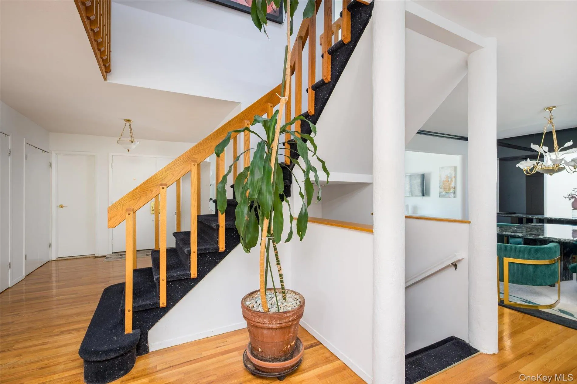 25 Princeton Drive, Oyster Bay, NY, 4 Bedrooms Bedrooms, 8 Rooms Rooms,3 BathroomsBathrooms,Residential,For Rent,Princeton,0,987735 25 Princeton Drive, Oyster Bay, NY, 4 Bedrooms Bedrooms, 8 Rooms Rooms,3 BathroomsBathrooms,Residential,For Rent,Princeton,0,987735