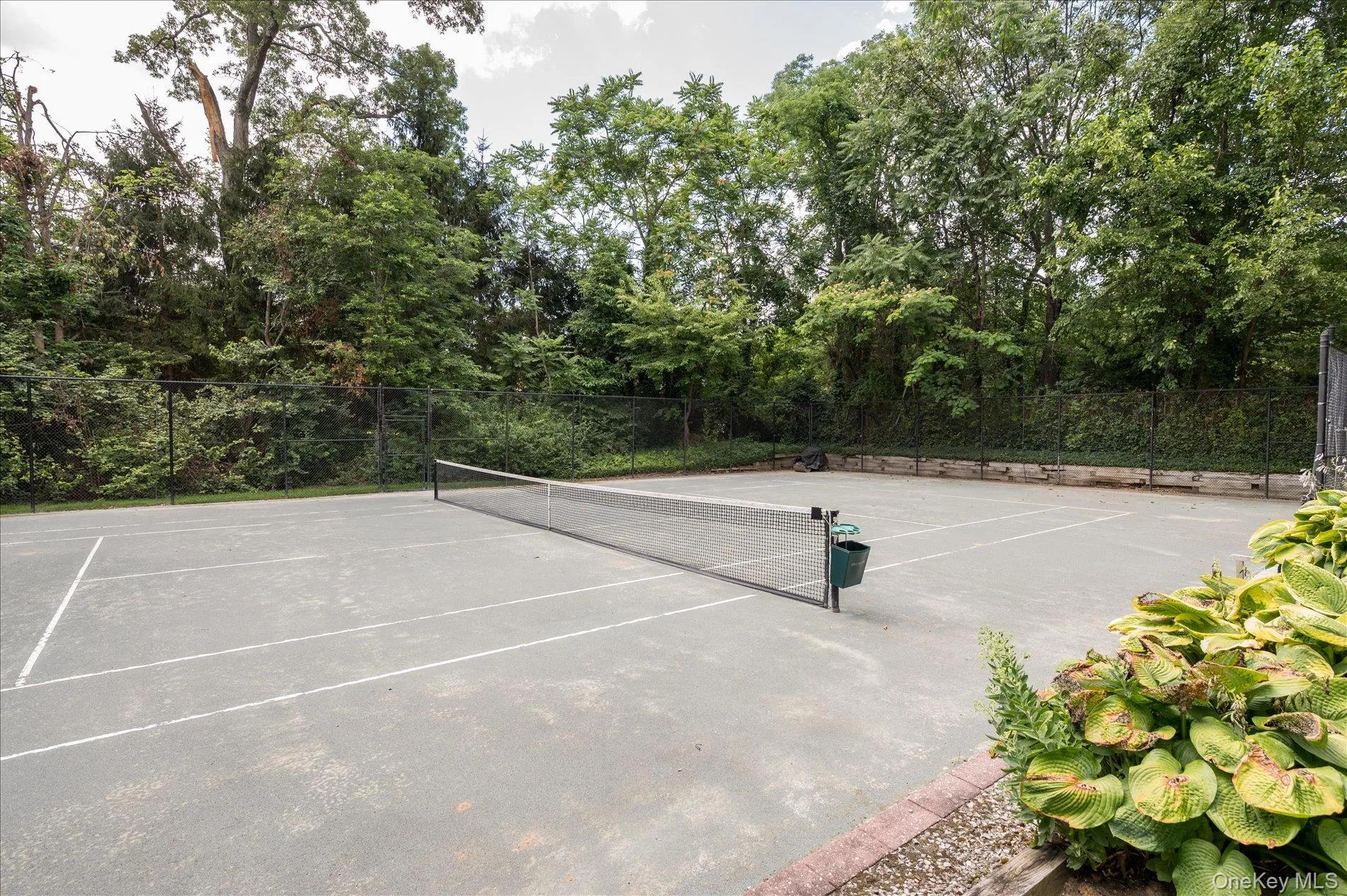 14 Pine Drive, Oyster Bay, NY, 4 Bedrooms Bedrooms, 14 Rooms Rooms,4 BathroomsBathrooms,Residential,For Rent,Pine,0,987761 14 Pine Drive, Oyster Bay, NY, 4 Bedrooms Bedrooms, 14 Rooms Rooms,4 BathroomsBathrooms,Residential,For Rent,Pine,0,987761