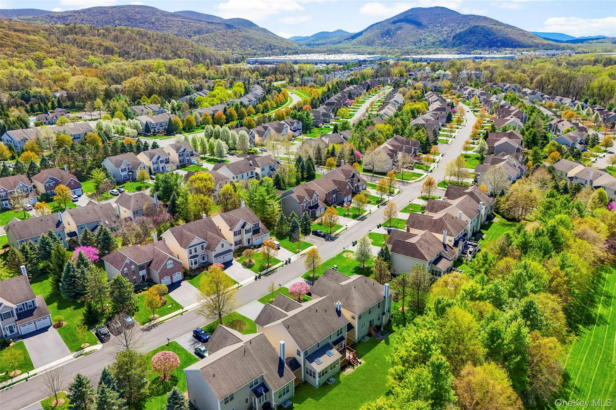 411 Vassar Place, Fishkill, NY, 4 Bedrooms Bedrooms, 12 Rooms Rooms,2 BathroomsBathrooms,Residential,For Rent,Vassar,0,987765 411 Vassar Place, Fishkill, NY, 4 Bedrooms Bedrooms, 12 Rooms Rooms,2 BathroomsBathrooms,Residential,For Rent,Vassar,0,987765
