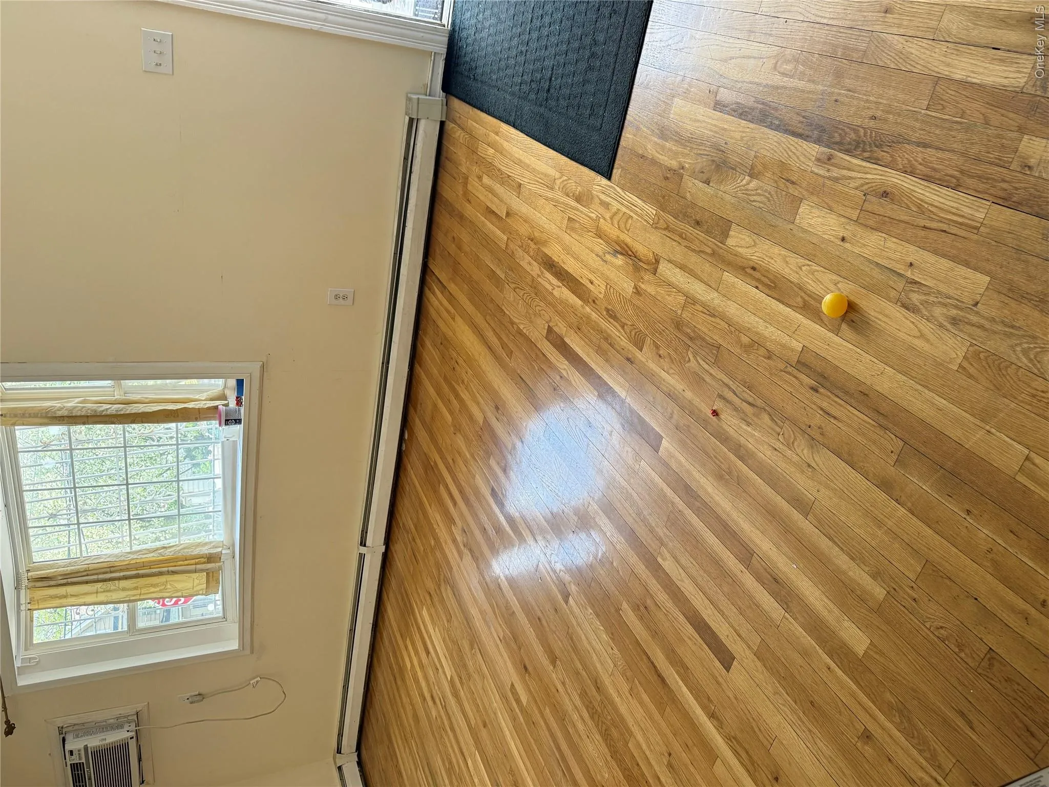 143-04 105th Avenue, New York, NY, 3 Bedrooms Bedrooms, 5 Rooms Rooms,2 BathroomsBathrooms,Residential Lease,For Rent,105th,0,987780 143-04 105th Avenue, New York, NY, 3 Bedrooms Bedrooms, 5 Rooms Rooms,2 BathroomsBathrooms,Residential Lease,For Rent,105th,0,987780