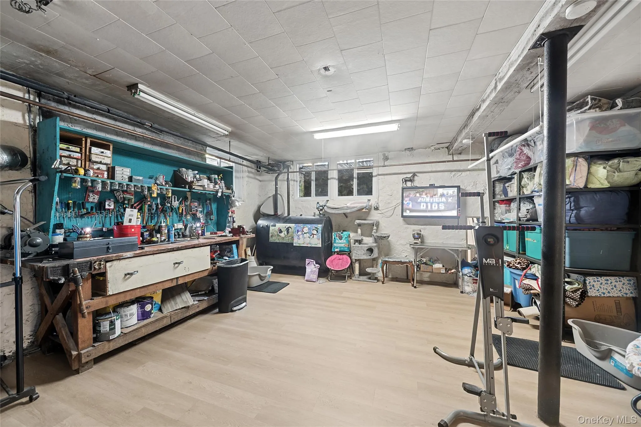Expansive lower level featuring light wood-finish flooring, a utility sink, and wall-mounted shelving Expansive lower level featuring light wood-finish flooring, a utility sink, and wall-mounted shelving