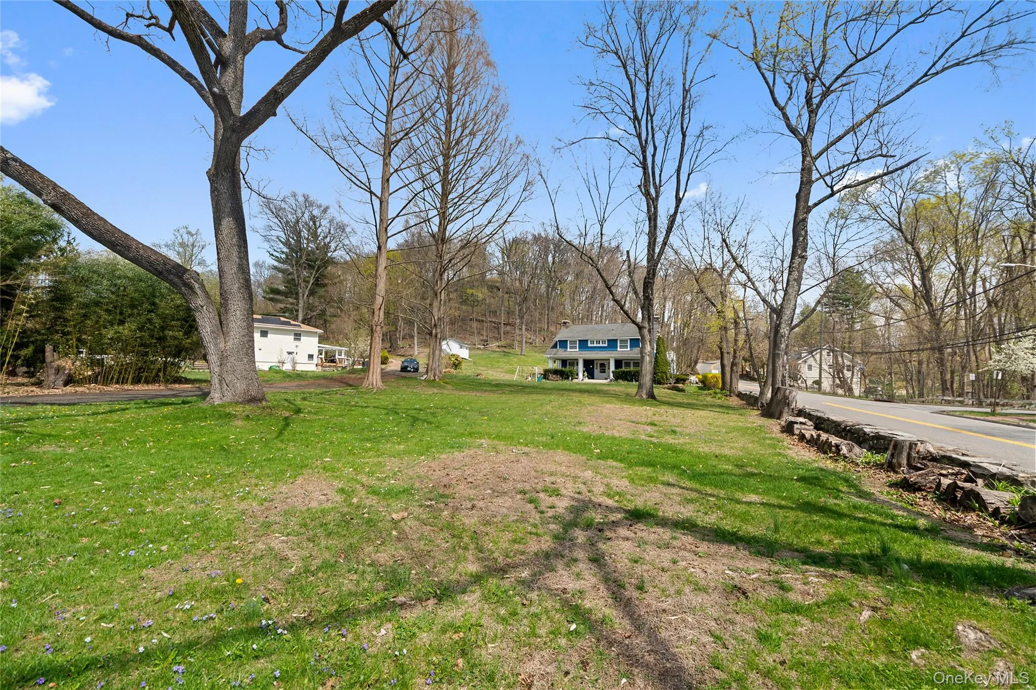 Expansive green lawn with mature trees and a residential street border Expansive green lawn with mature trees and a residential street border