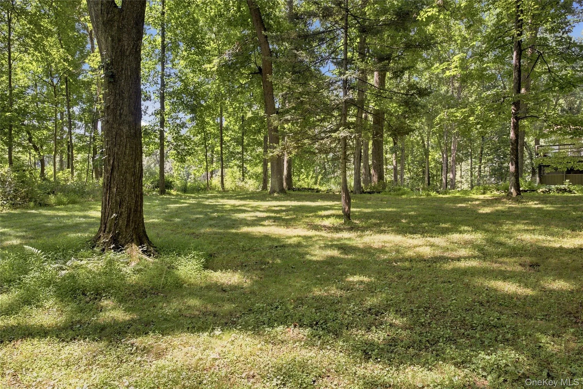 view of back of property. view of back of property.