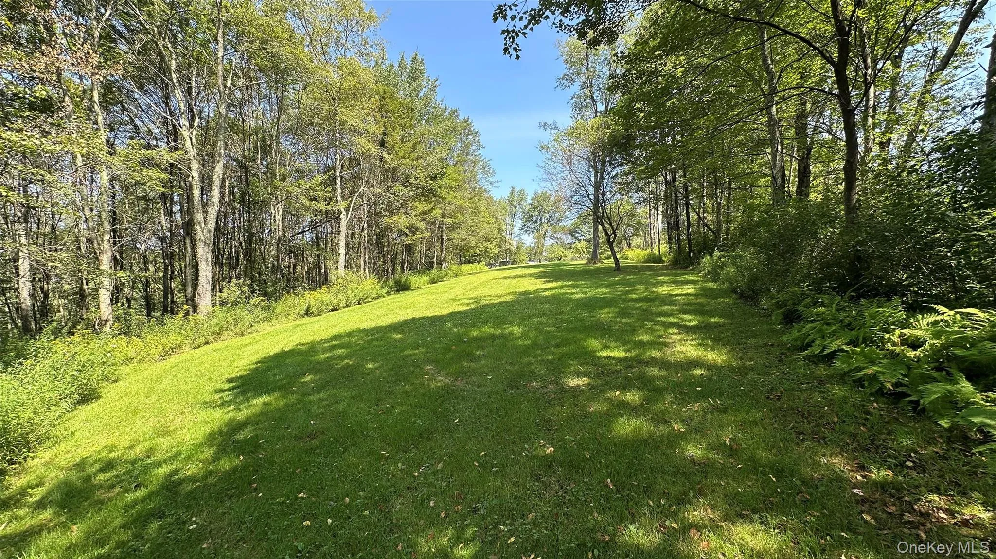 View of grassy yard with a forest view View of grassy yard with a forest view