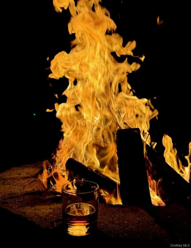 fire pit fire pit