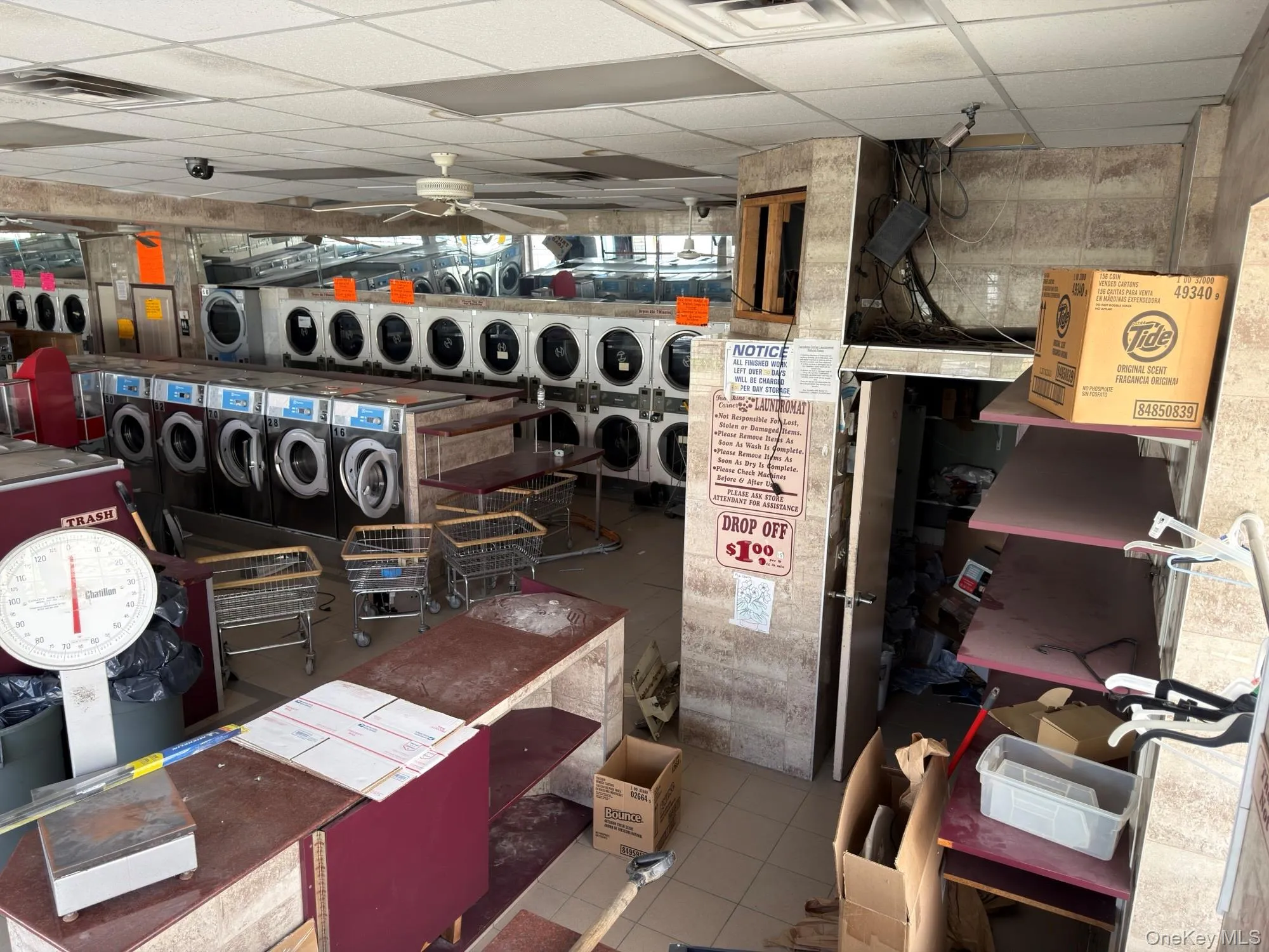 393 Tompkins Avenue, New York, NY, ,Commercial Lease,For Rent,Tompkins,0,988038 393 Tompkins Avenue, New York, NY, ,Commercial Lease,For Rent,Tompkins,0,988038