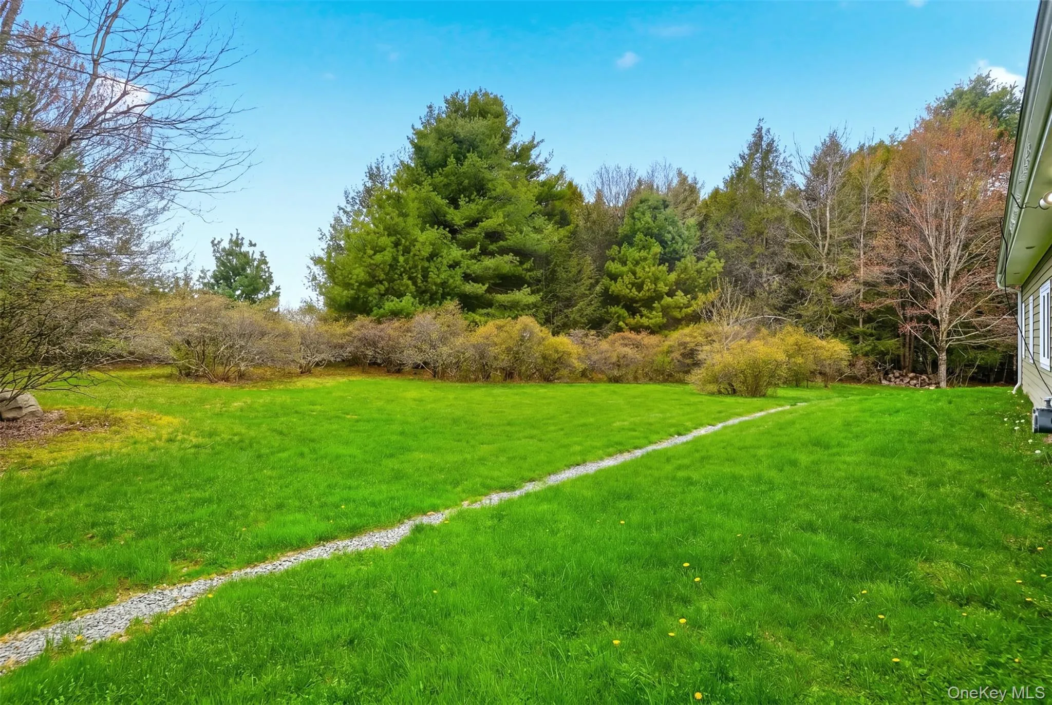 Expansive lawn area featuring a gravel path and mature trees Expansive lawn area featuring a gravel path and mature trees
