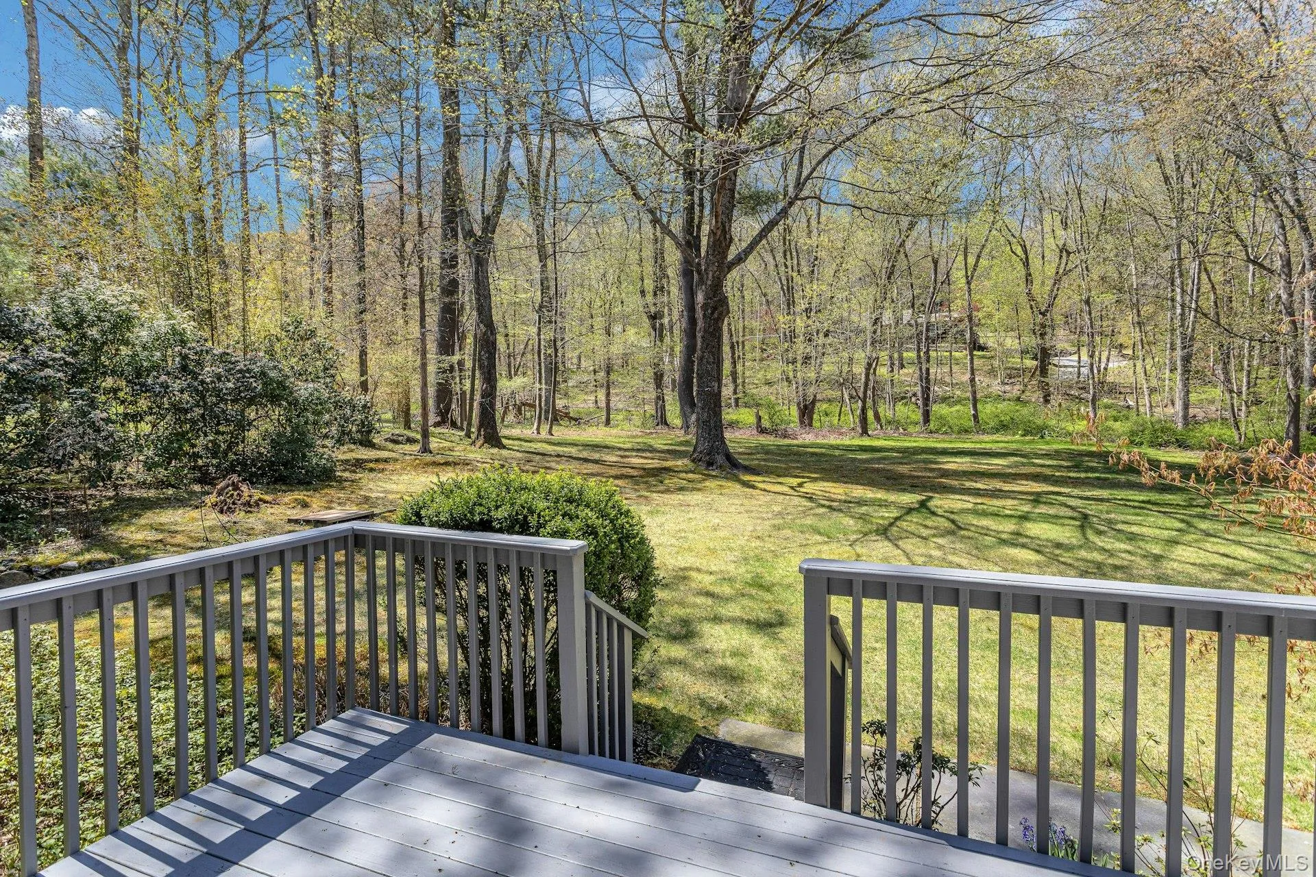 Back Deck Overlooking Yard Back Deck Overlooking Yard