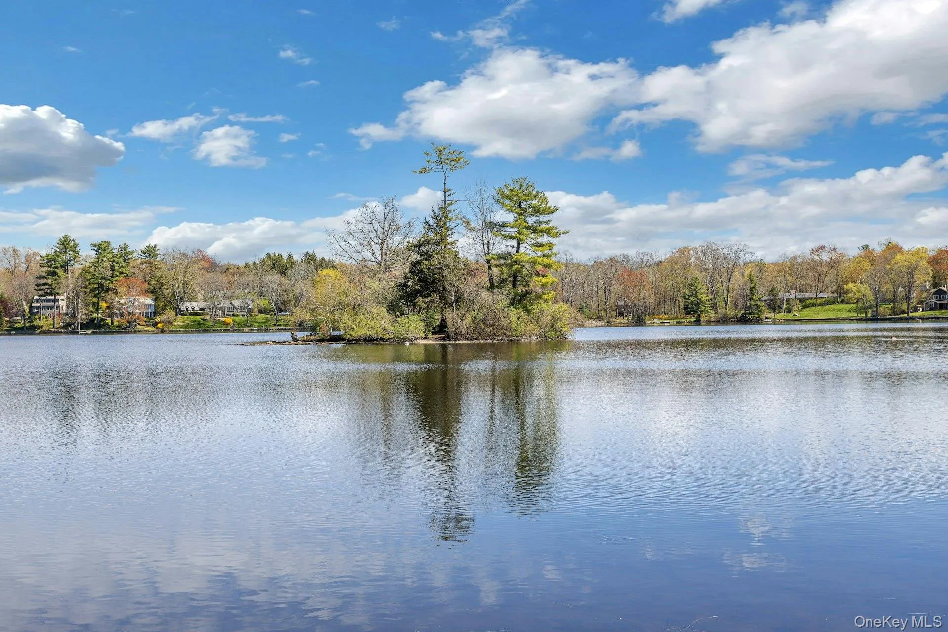 Lake Living! Lake Living!
