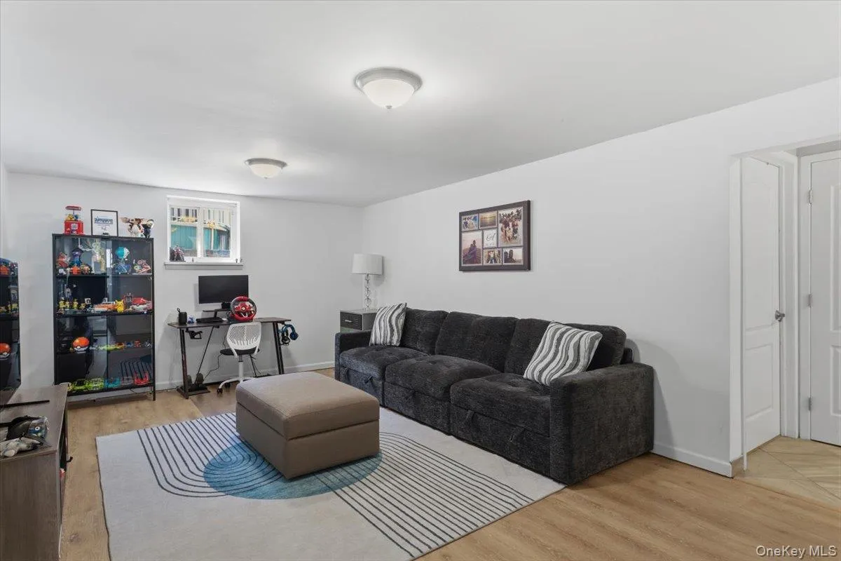 Lower level rec room. Lower level rec room.