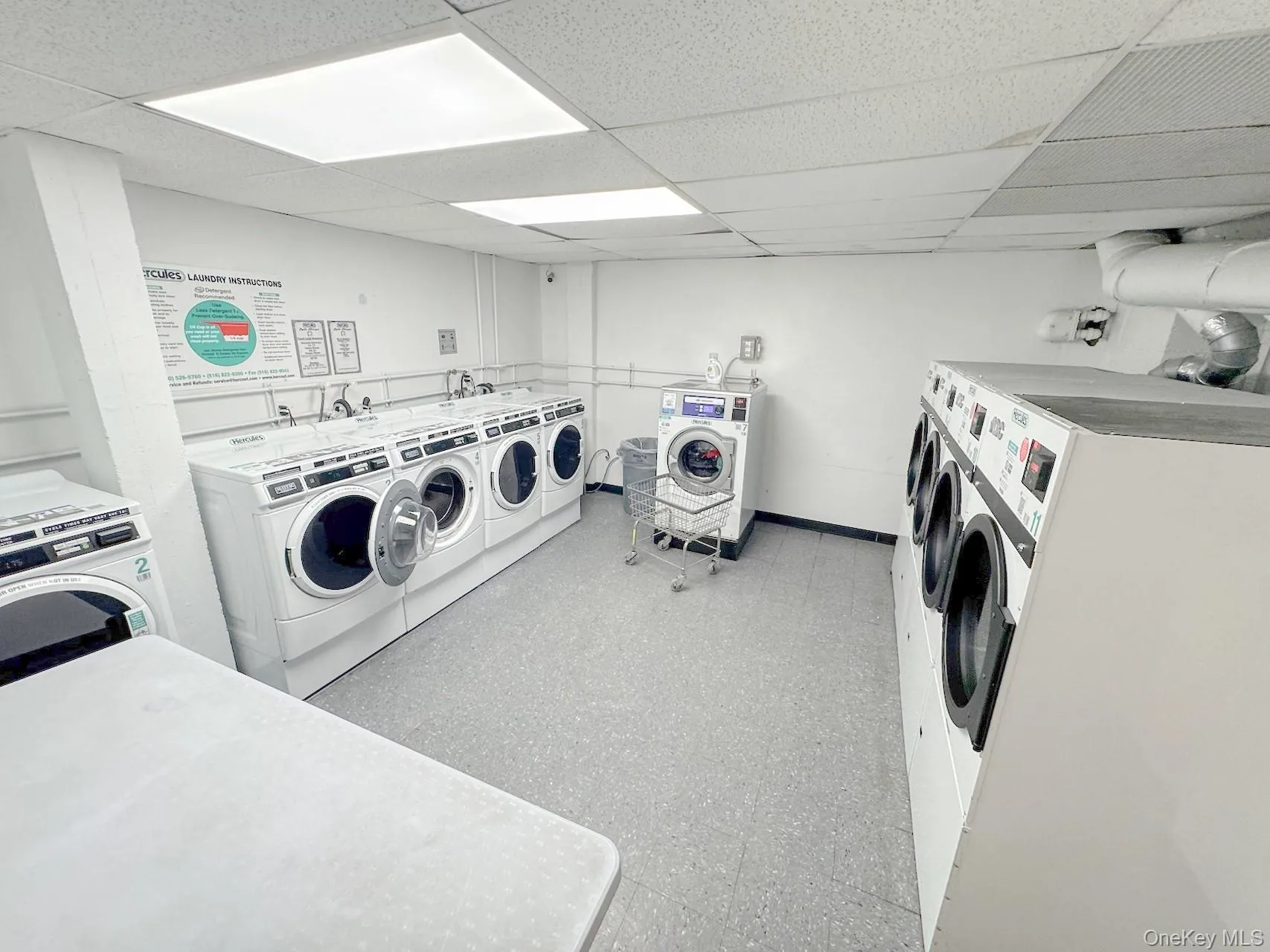 67-25 Dartmouth Street, New York, NY, 2 Bedrooms Bedrooms, 4 Rooms Rooms,1 BathroomBathrooms,Residential Lease,For Rent,Dartmouth,0,988091 67-25 Dartmouth Street, New York, NY, 2 Bedrooms Bedrooms, 4 Rooms Rooms,1 BathroomBathrooms,Residential Lease,For Rent,Dartmouth,0,988091