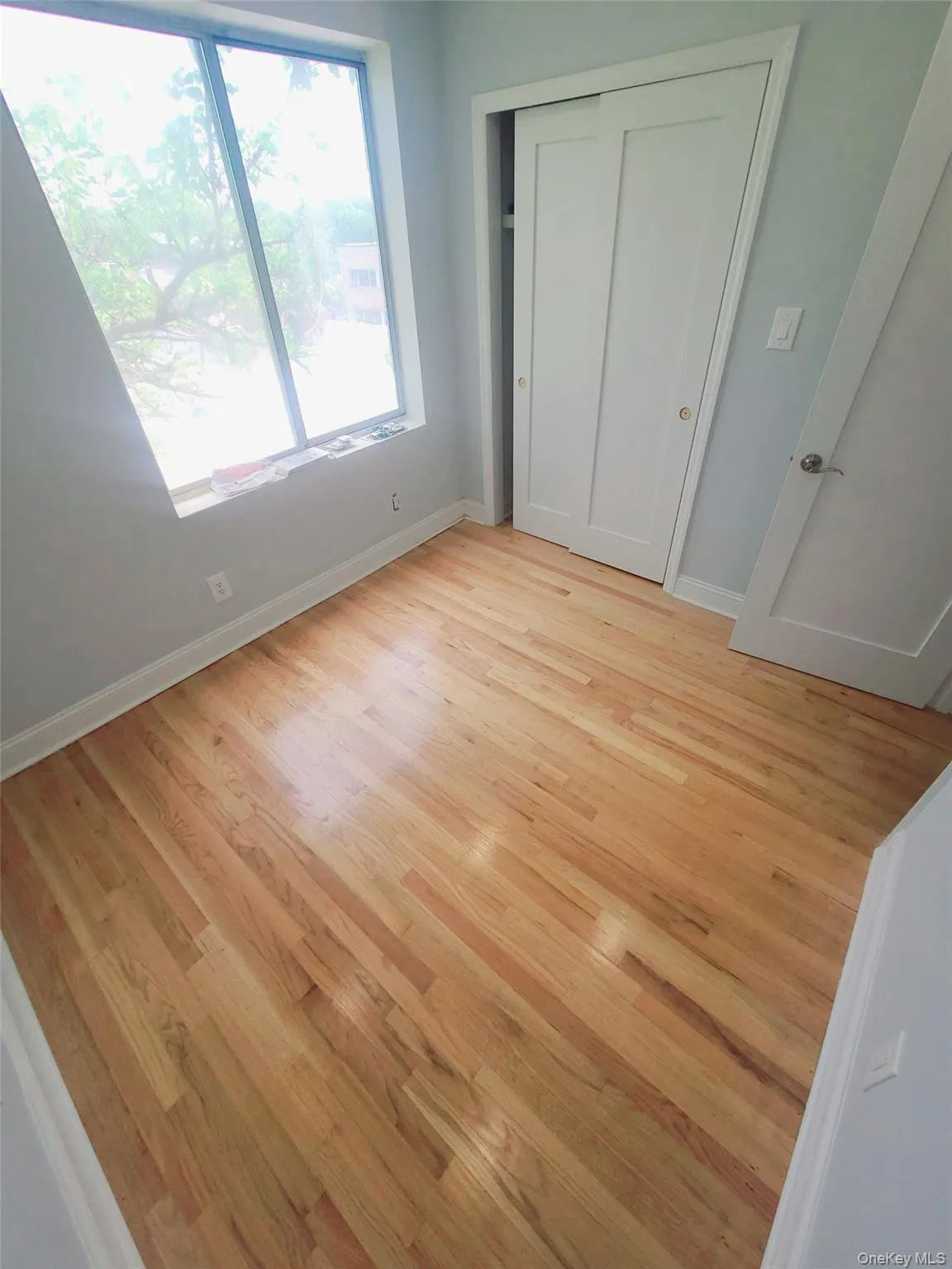 67-39 Clyde Street, New York, NY, 2 Bedrooms Bedrooms, 4 Rooms Rooms,2 BathroomsBathrooms,Residential Lease,For Rent,Clyde,0,988106 67-39 Clyde Street, New York, NY, 2 Bedrooms Bedrooms, 4 Rooms Rooms,2 BathroomsBathrooms,Residential Lease,For Rent,Clyde,0,988106