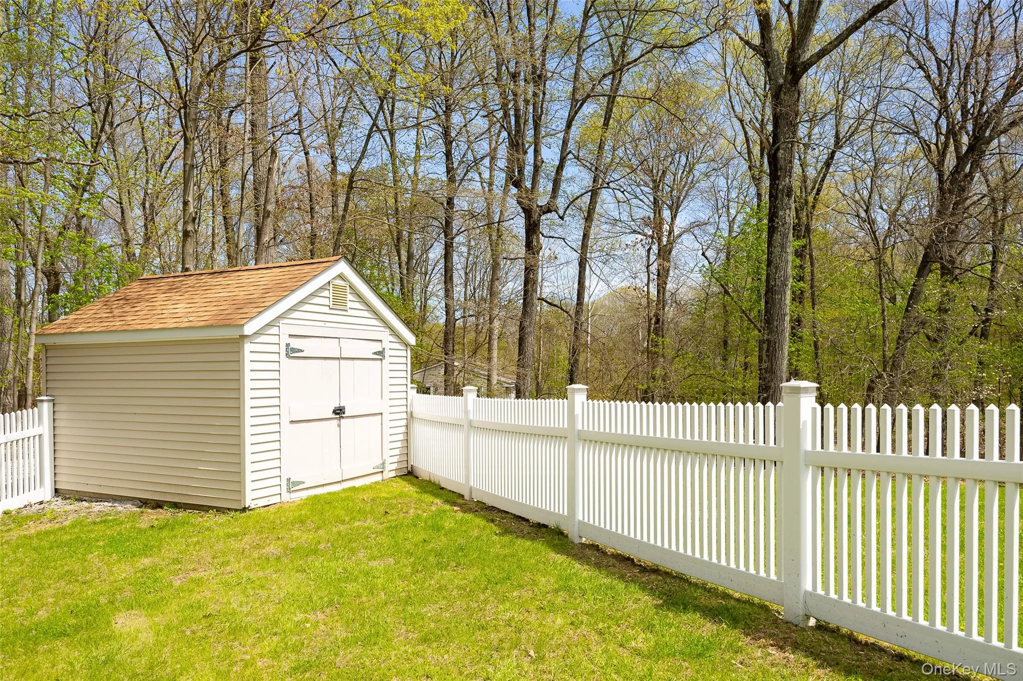 Shed Shed