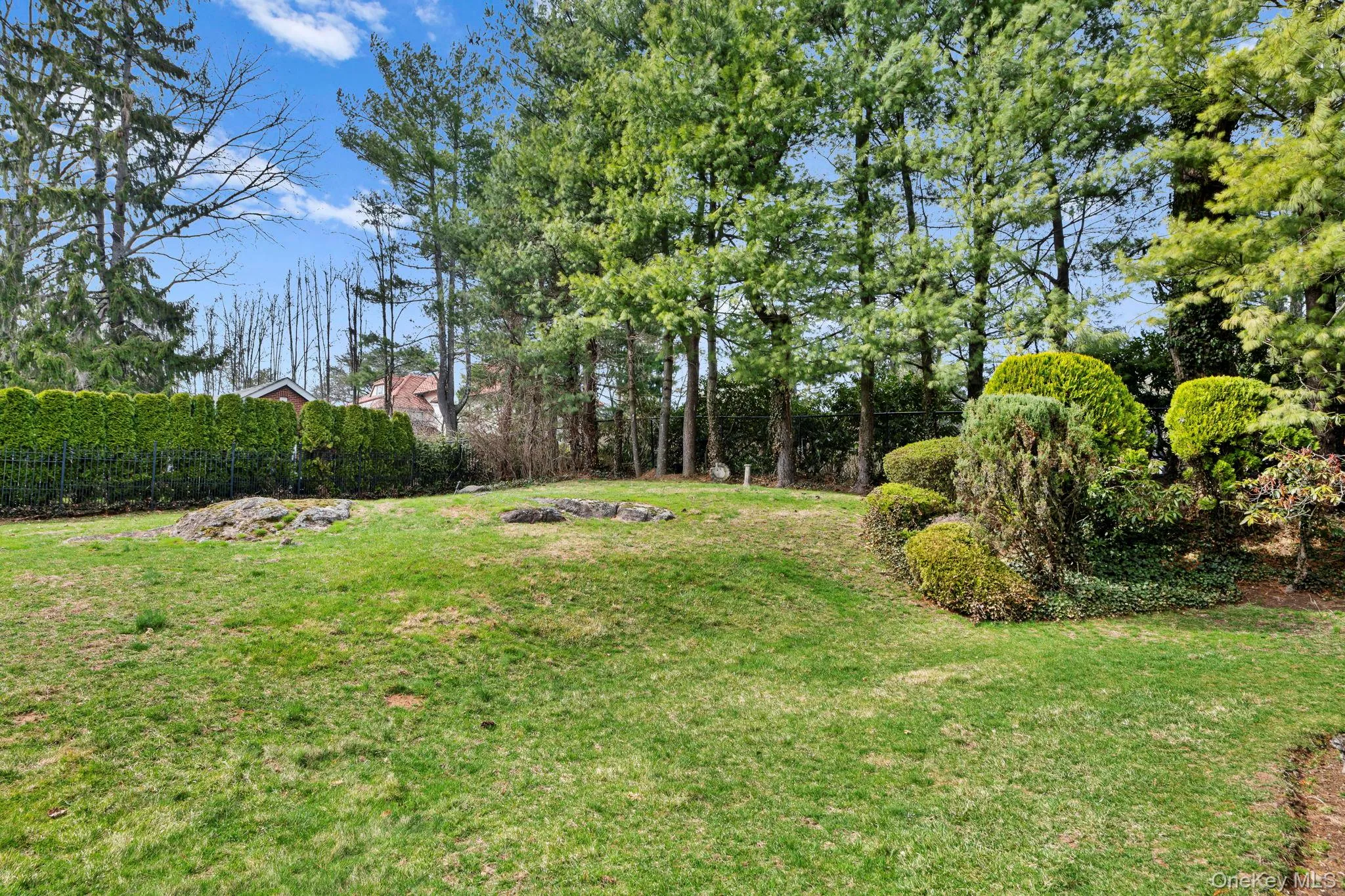 Backyard Backyard