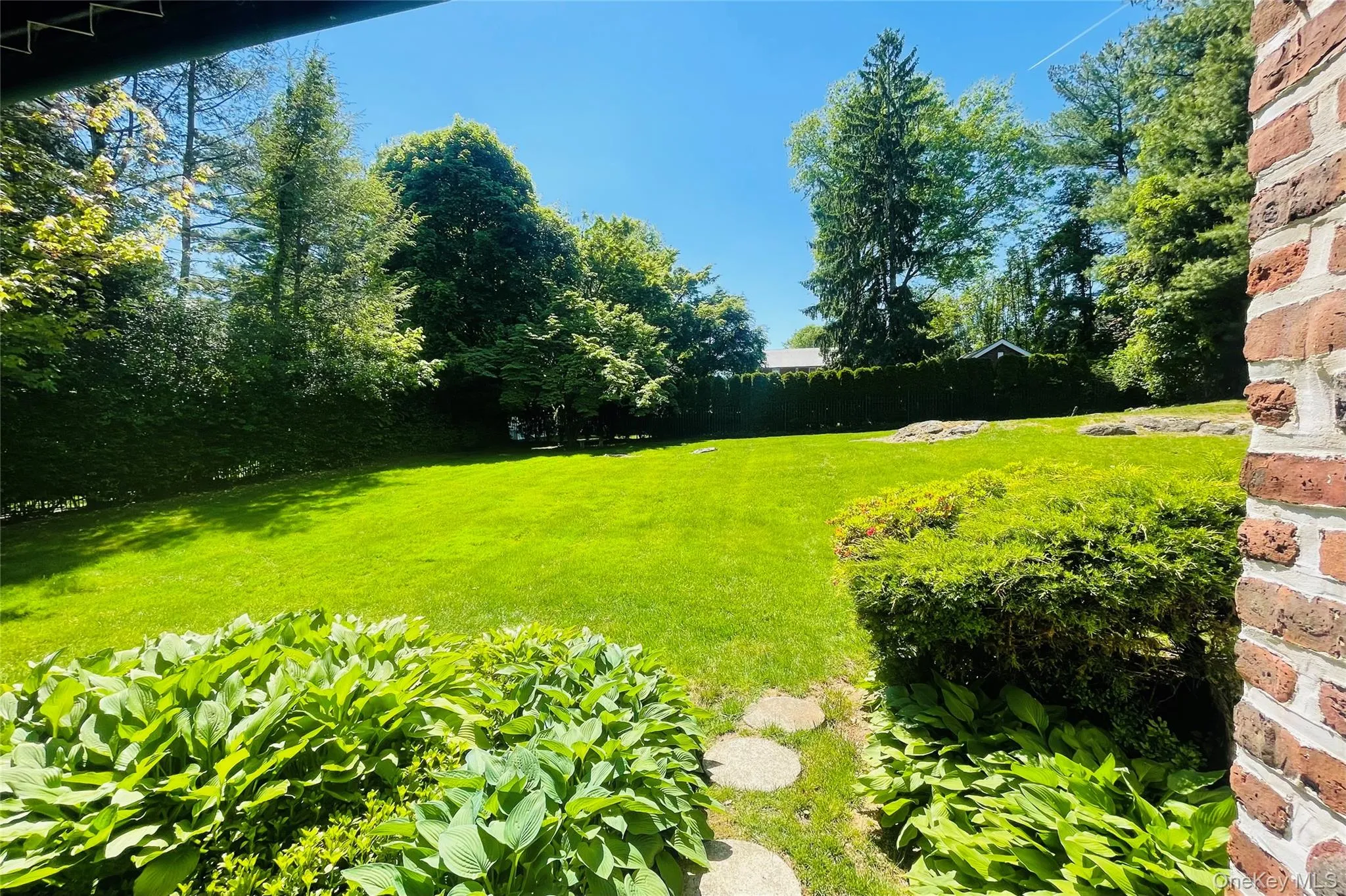 Backyard View from Patio Backyard View from Patio