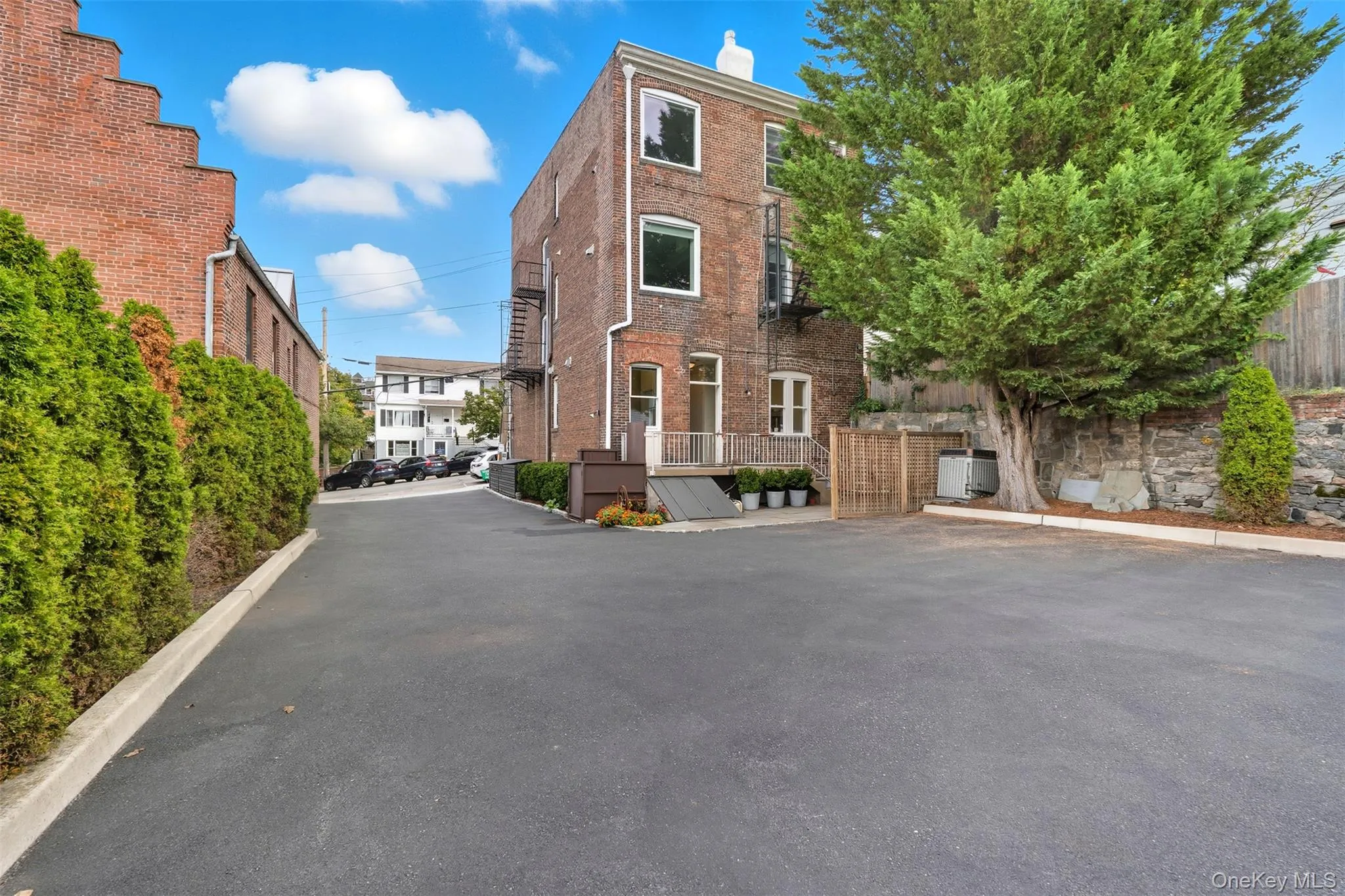 Paved parking area bordered by mature evergreen shrubs Paved parking area bordered by mature evergreen shrubs