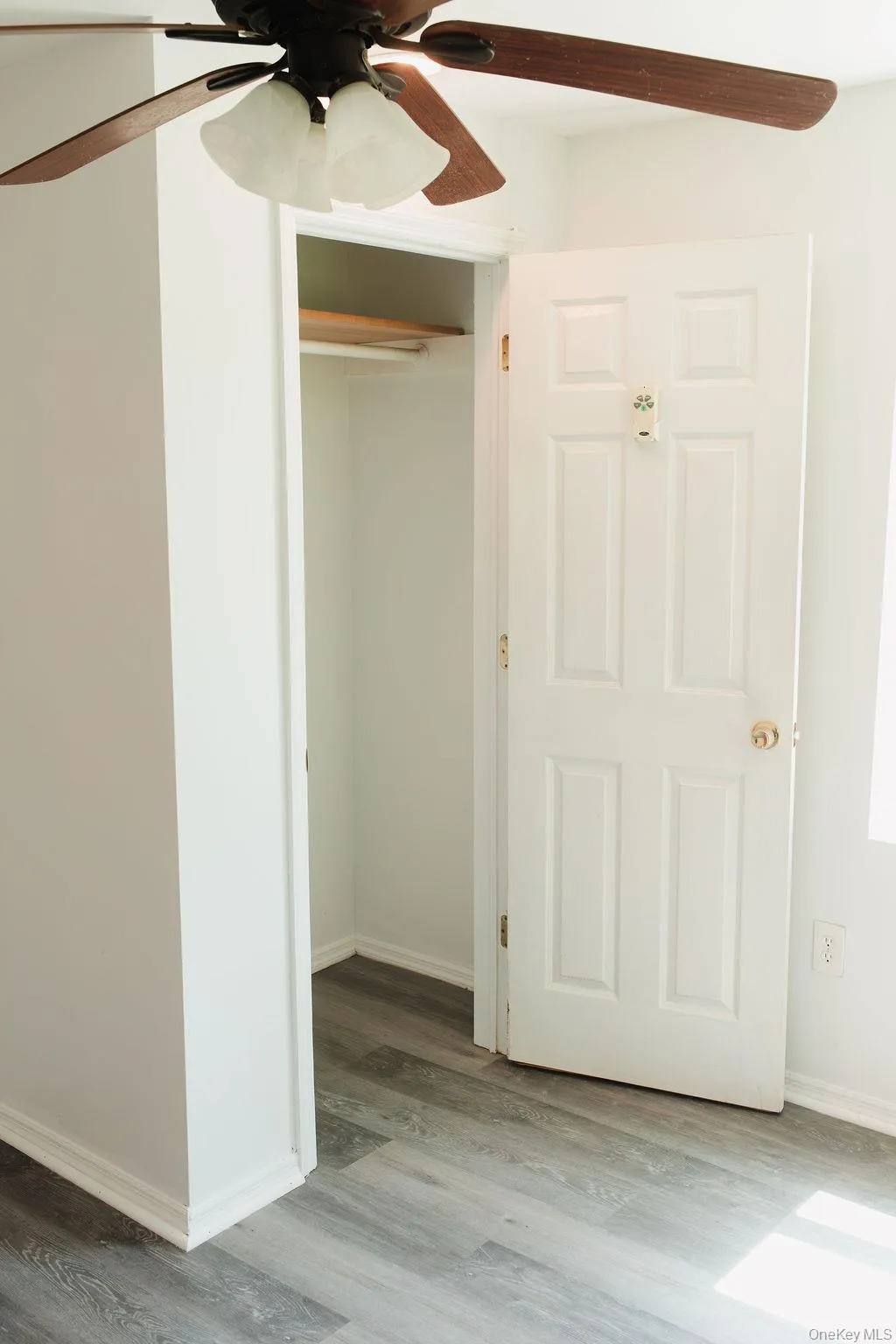 435 Abeel Street, Kingston, NY, 3 Bedrooms Bedrooms, 5 Rooms Rooms,2 BathroomsBathrooms,Residential Lease,For Rent,Abeel,0,988504 435 Abeel Street, Kingston, NY, 3 Bedrooms Bedrooms, 5 Rooms Rooms,2 BathroomsBathrooms,Residential Lease,For Rent,Abeel,0,988504