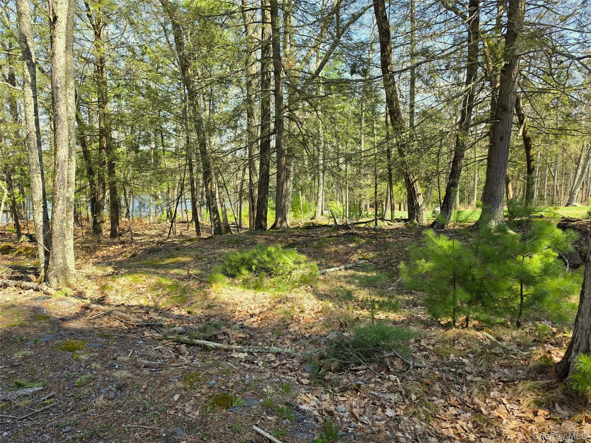 131 Highland Lake Road, Highland, NY, ,Land,For Rent,Highland Lake,0,988515 131 Highland Lake Road, Highland, NY, ,Land,For Rent,Highland Lake,0,988515