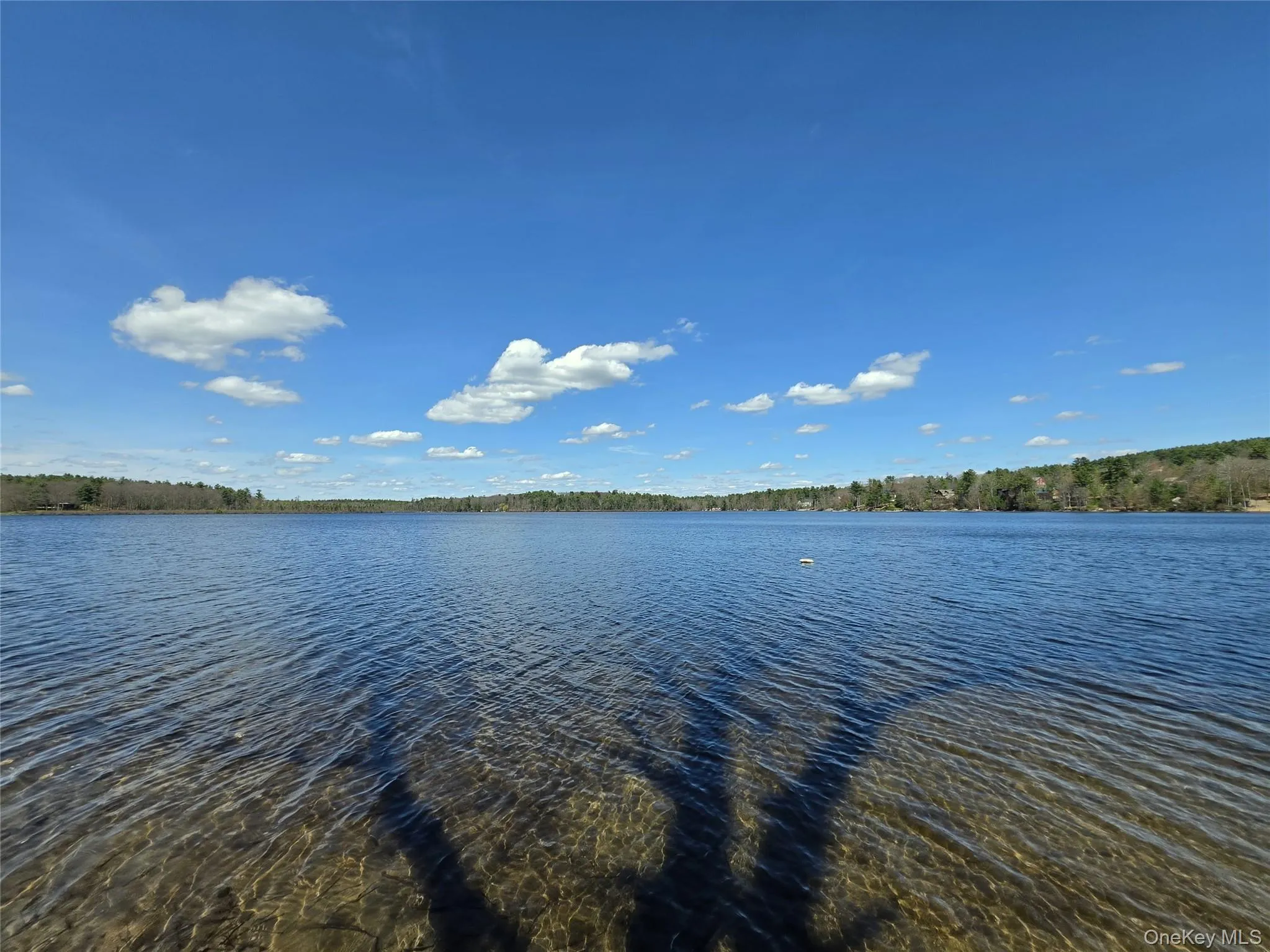 131 Highland Lake Road, Highland, NY, ,Land,For Rent,Highland Lake,0,988515 131 Highland Lake Road, Highland, NY, ,Land,For Rent,Highland Lake,0,988515