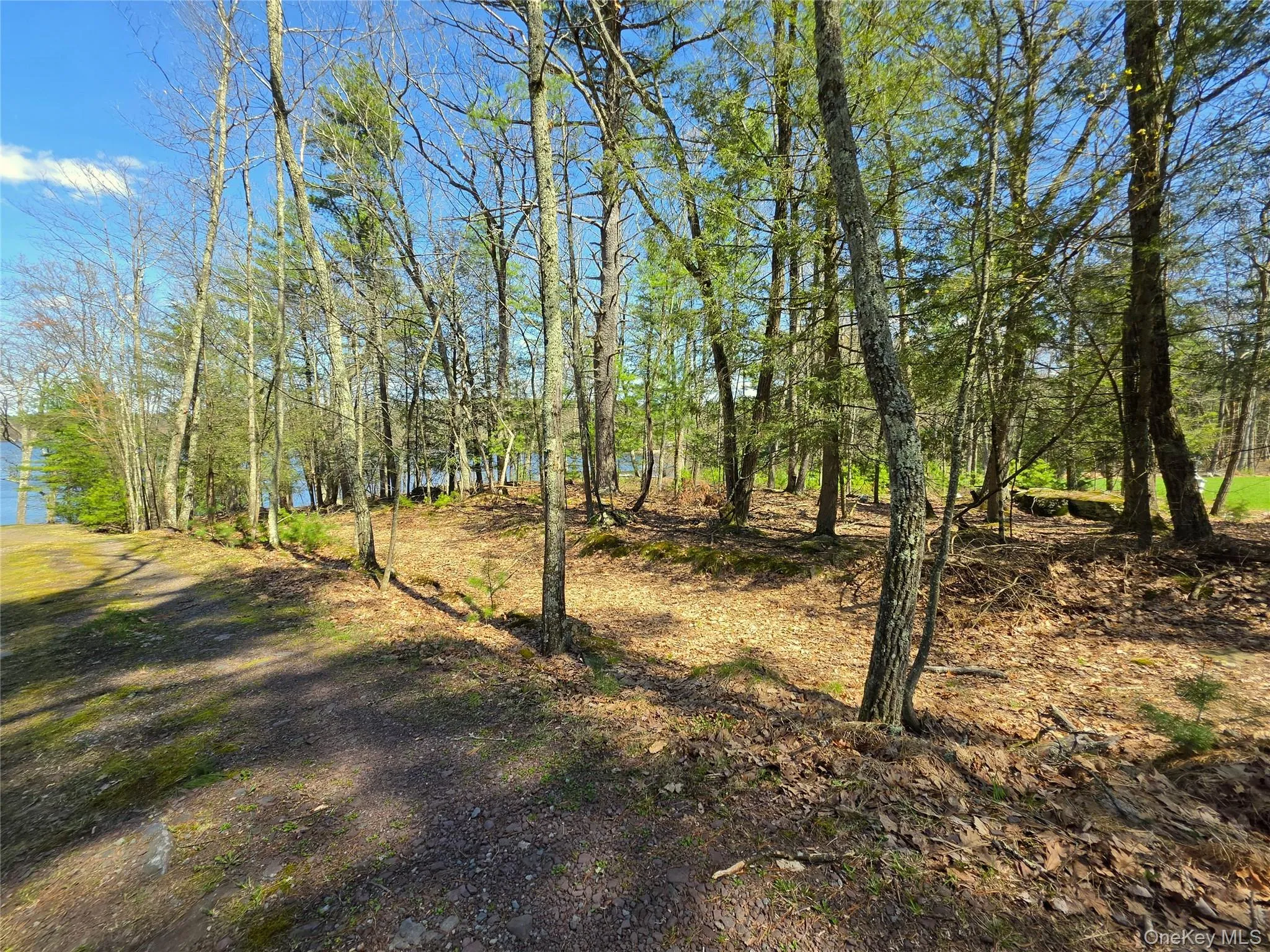 131 Highland Lake Road, Highland, NY, ,Land,For Rent,Highland Lake,0,988515 131 Highland Lake Road, Highland, NY, ,Land,For Rent,Highland Lake,0,988515