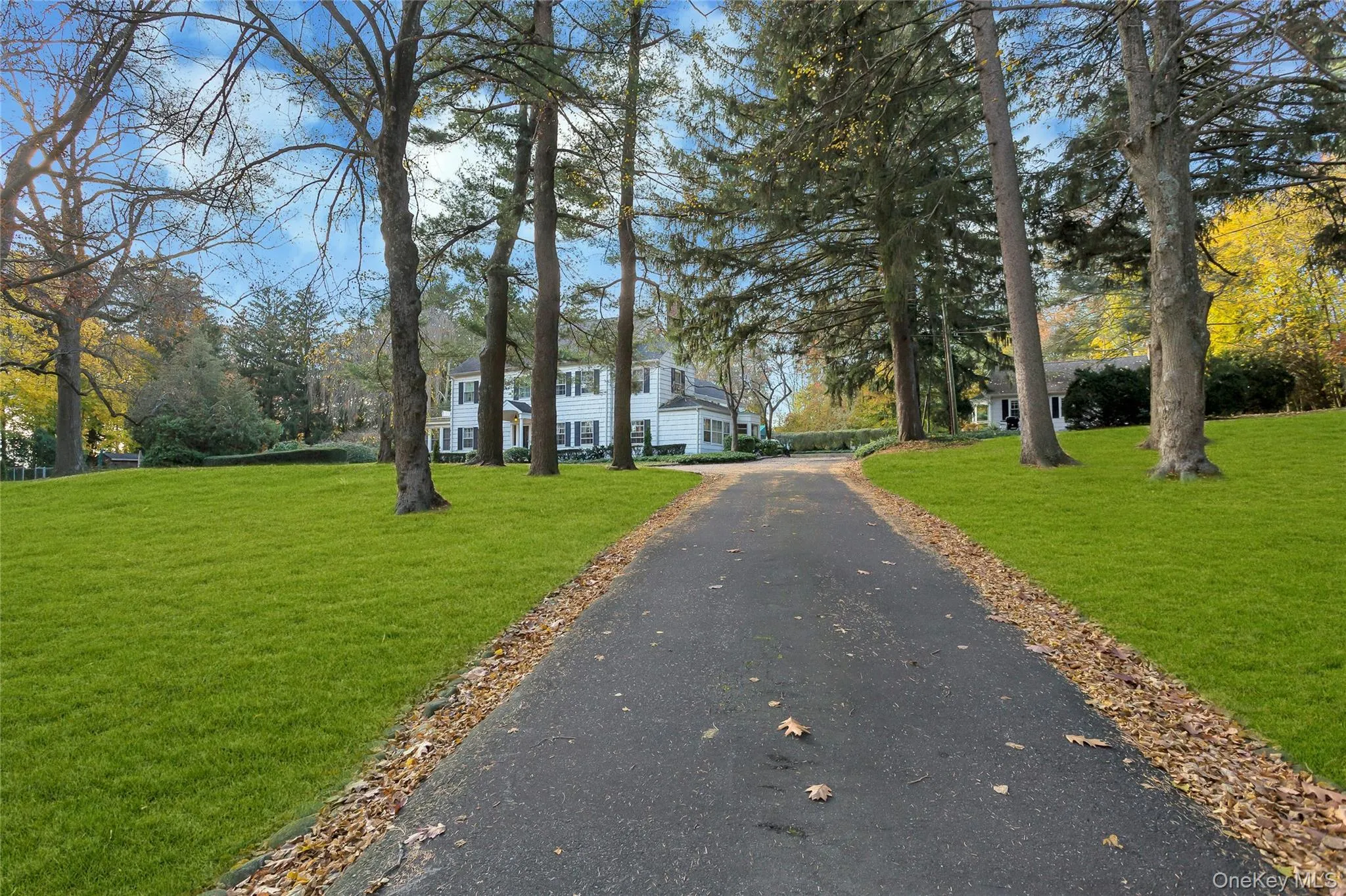 15 Cherry Lane, Oyster Bay, NY, 1 Bedroom Bedrooms, 4 Rooms Rooms,1 BathroomBathrooms,Residential Lease,For Rent,Cherry,0,988528 15 Cherry Lane, Oyster Bay, NY, 1 Bedroom Bedrooms, 4 Rooms Rooms,1 BathroomBathrooms,Residential Lease,For Rent,Cherry,0,988528