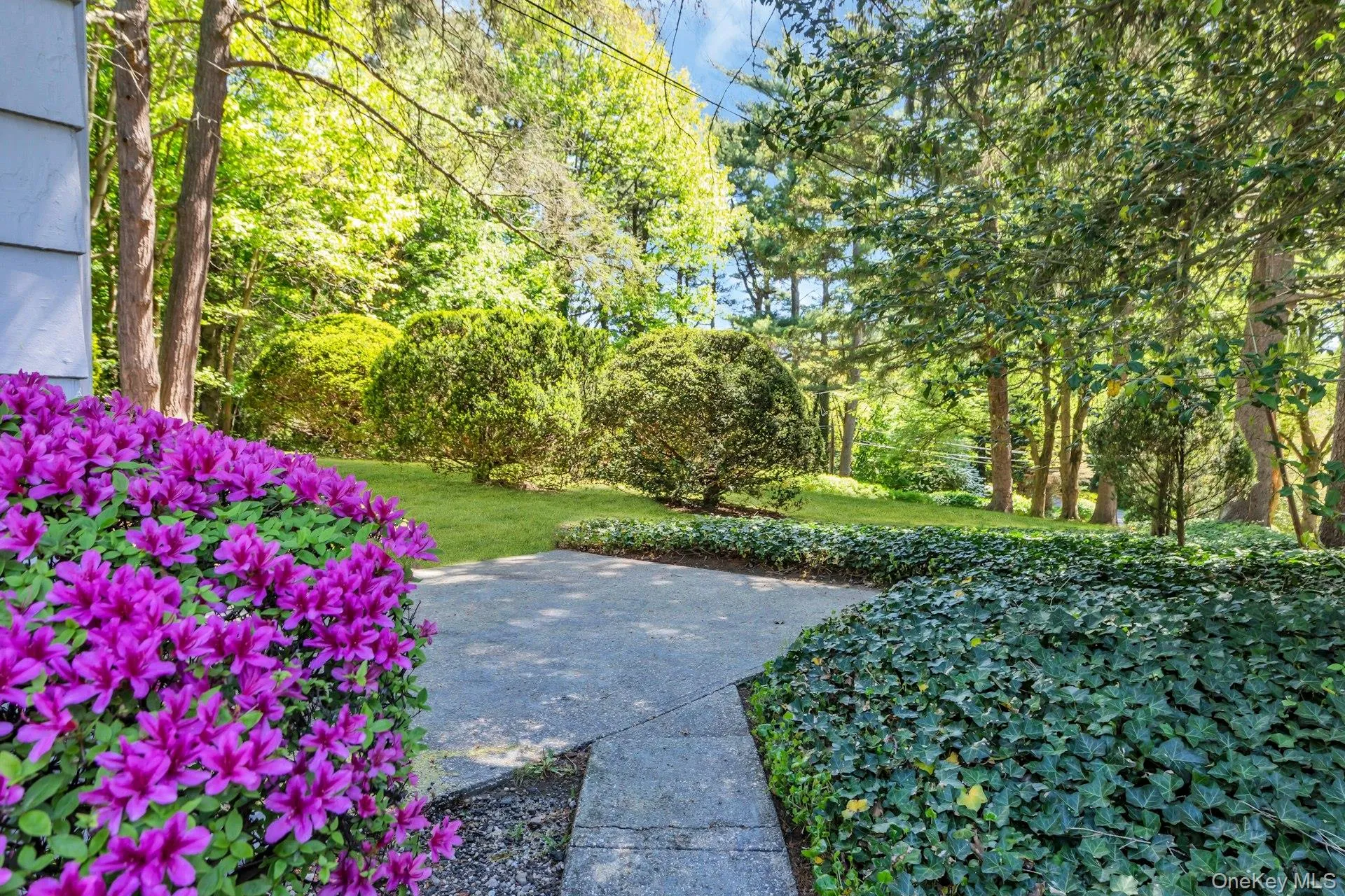 15 Cherry Lane, Oyster Bay, NY, 1 Bedroom Bedrooms, 4 Rooms Rooms,1 BathroomBathrooms,Residential Lease,For Rent,Cherry,0,988528 15 Cherry Lane, Oyster Bay, NY, 1 Bedroom Bedrooms, 4 Rooms Rooms,1 BathroomBathrooms,Residential Lease,For Rent,Cherry,0,988528