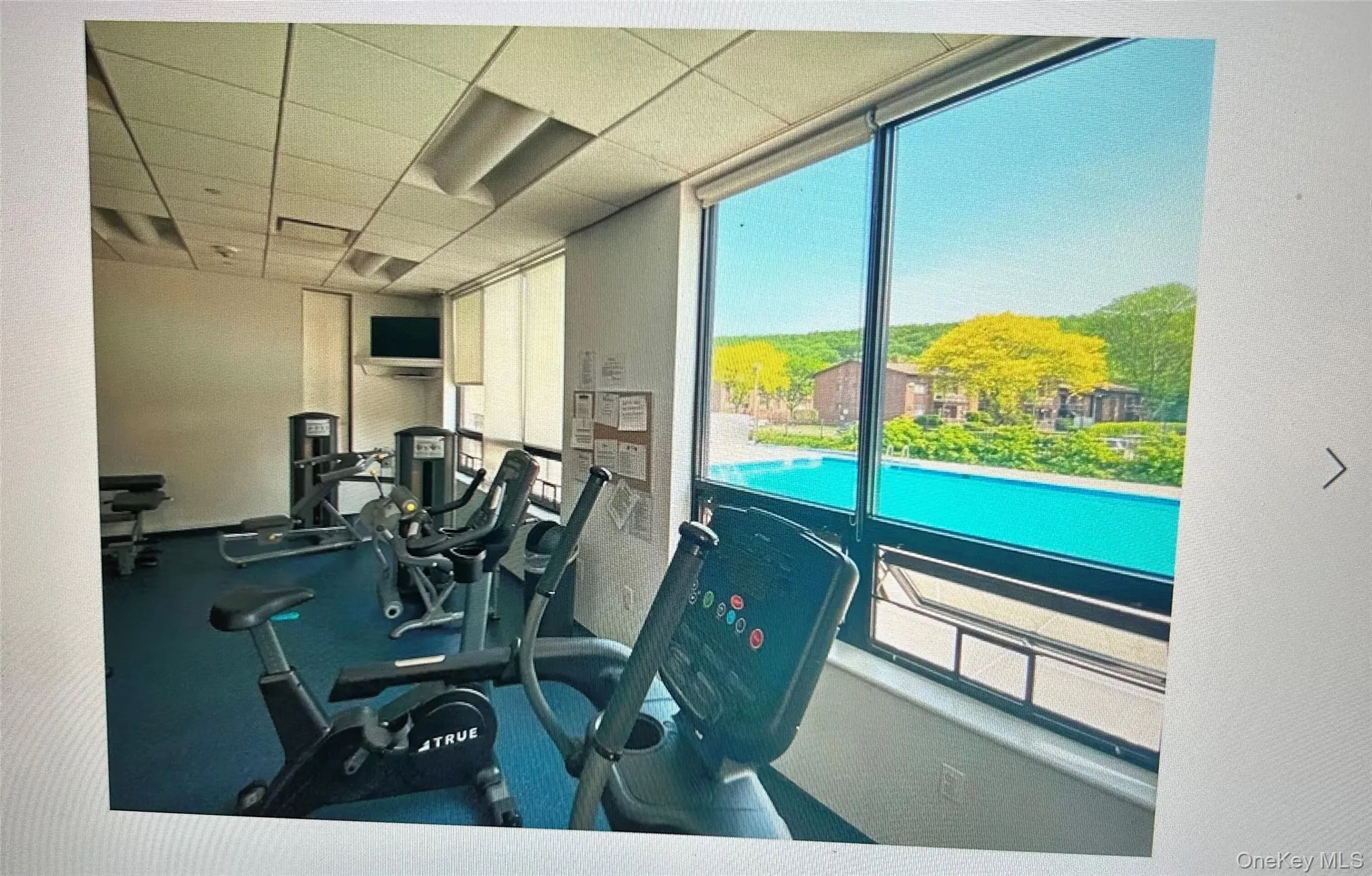 8 Charles Lane, Haverstraw, NY, 1 Room Rooms,1 BathroomBathrooms,Residential Lease,For Rent,Charles,0,988637 8 Charles Lane, Haverstraw, NY, 1 Room Rooms,1 BathroomBathrooms,Residential Lease,For Rent,Charles,0,988637