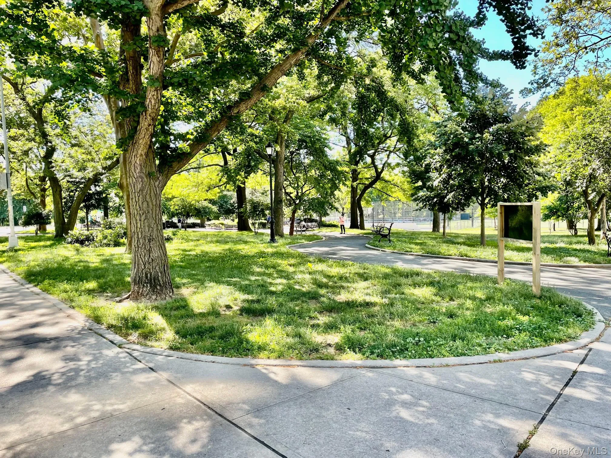 NYC park across the street NYC park across the street