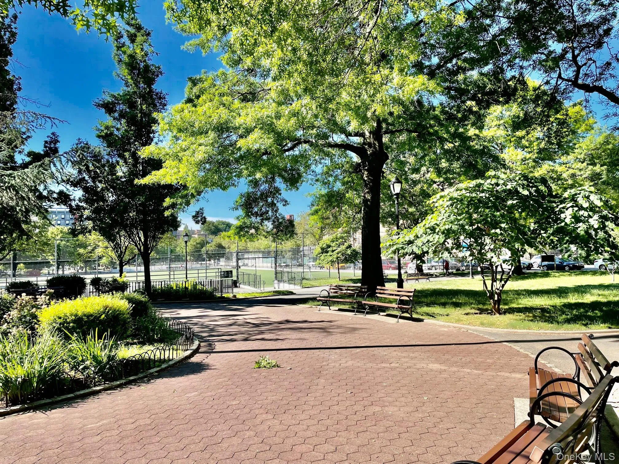 NYC park across the street NYC park across the street