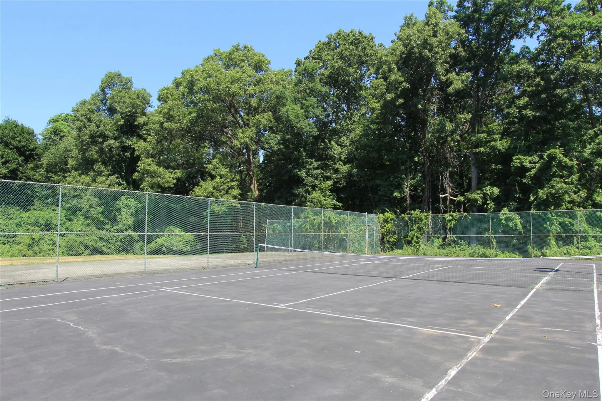 Bring your racquets and have some fun with friends and family. Bring your racquets and have some fun with friends and family.