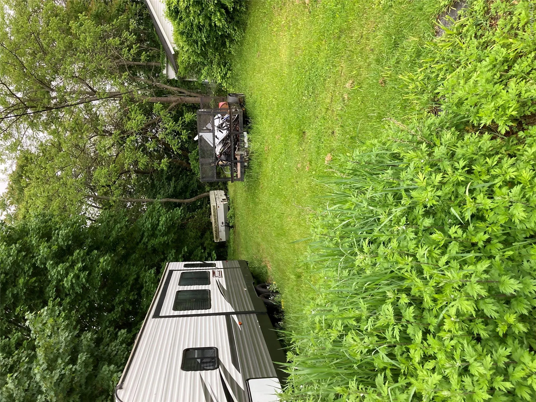 View of yard with view of wooded area View of yard with view of wooded area