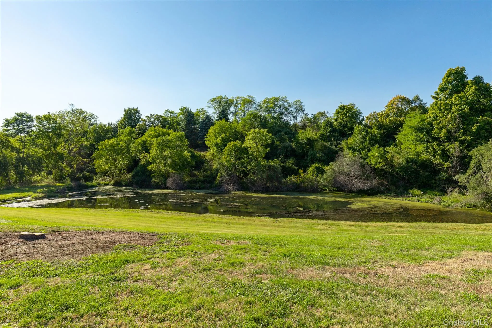 54 Bennett Common, Washington, NY, 2 Bedrooms Bedrooms, 5 Rooms Rooms,2 BathroomsBathrooms,Residential Lease,For Rent,Bennett,0,988914 54 Bennett Common, Washington, NY, 2 Bedrooms Bedrooms, 5 Rooms Rooms,2 BathroomsBathrooms,Residential Lease,For Rent,Bennett,0,988914
