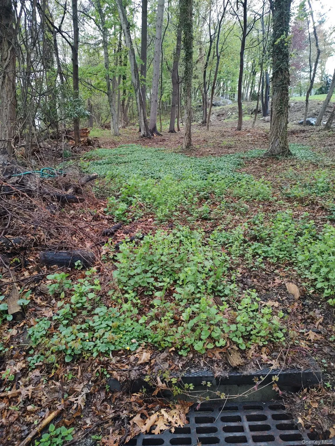 This wooded property is waiting for your dream home This wooded property is waiting for your dream home