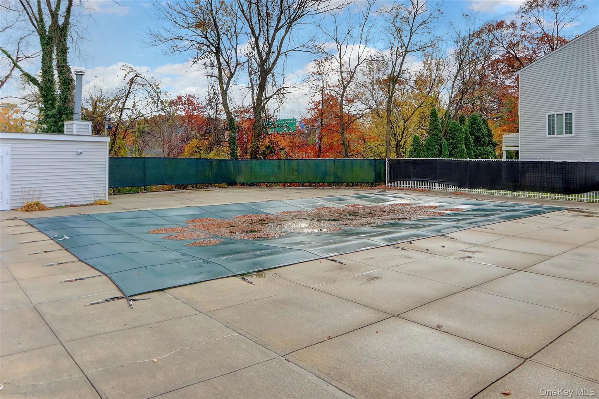 241-70 Oak Park Drive, New York, NY, 2 Bedrooms Bedrooms, 8 Rooms Rooms,2 BathroomsBathrooms,Residential,For Rent,Oak Park,0,988949 241-70 Oak Park Drive, New York, NY, 2 Bedrooms Bedrooms, 8 Rooms Rooms,2 BathroomsBathrooms,Residential,For Rent,Oak Park,0,988949