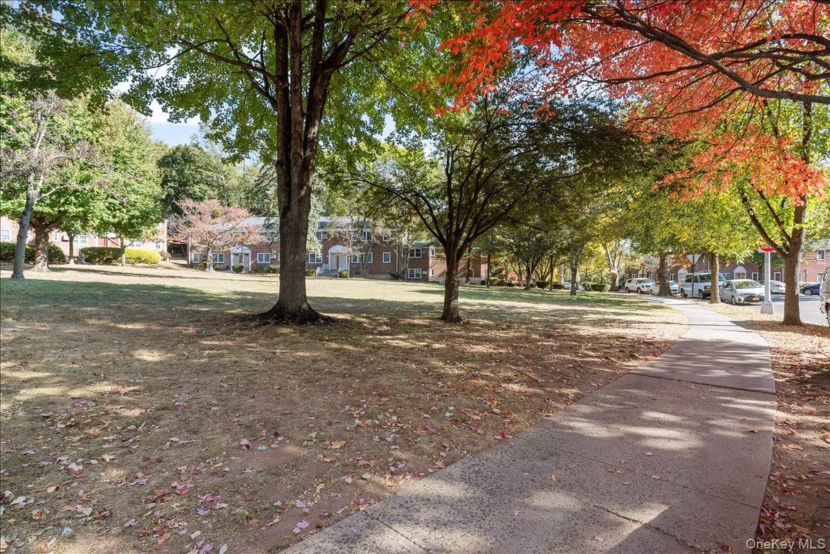 Expansive green space featuring mature trees and a paved sidewalk Expansive green space featuring mature trees and a paved sidewalk